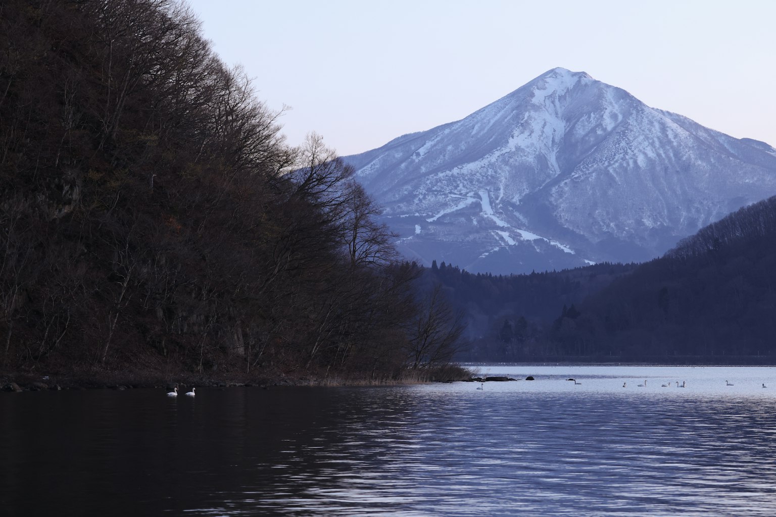 Scena di lago serena con montagna innevata e cigni sull'acqua