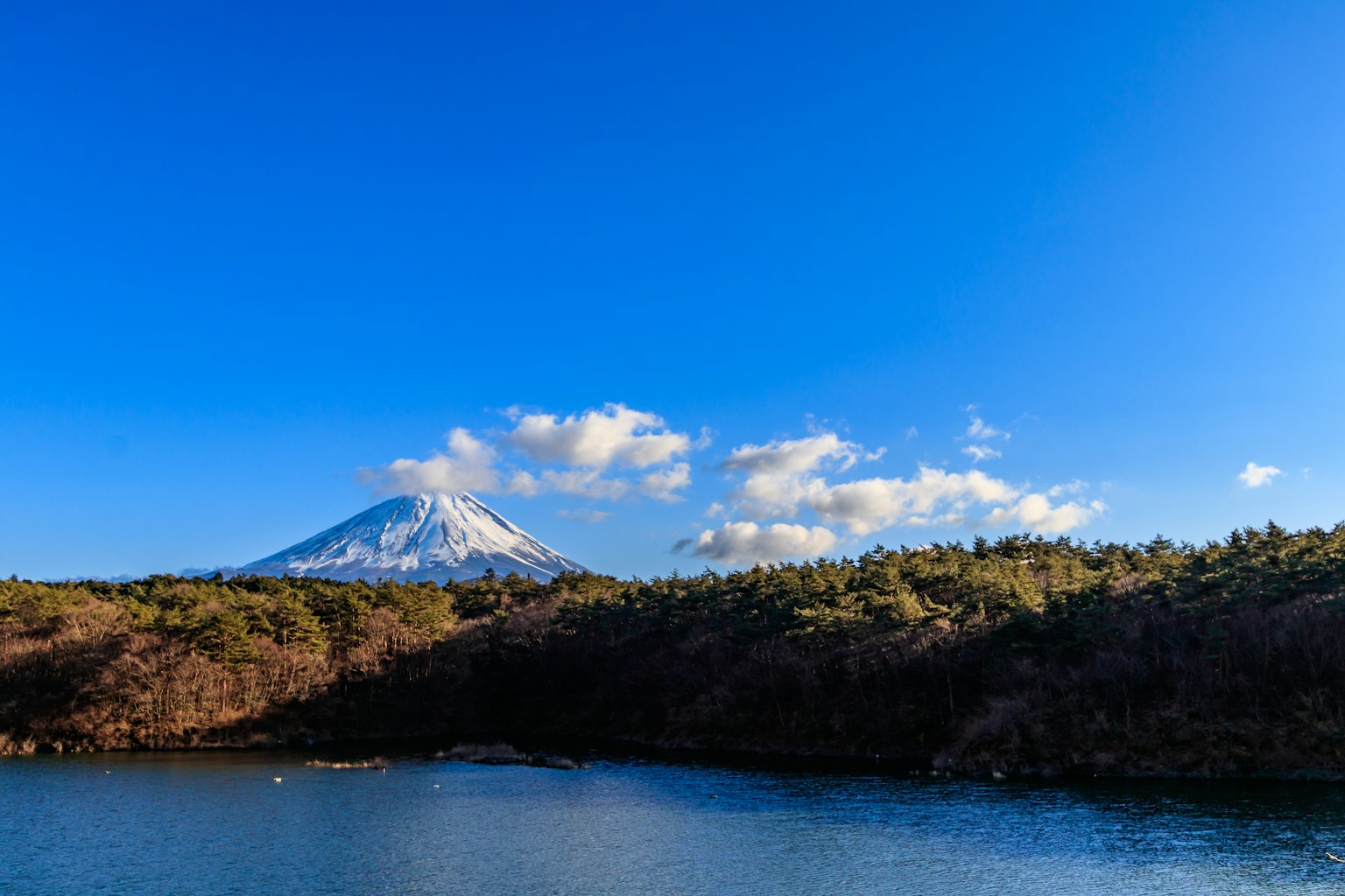 ทิวทัศน์ที่สวยงามของภูเขาฟูจิที่มีหิมะปกคลุมท้องฟ้าสีฟ้าและต้นไม้เขียวขจีรอบทะเลสาบ