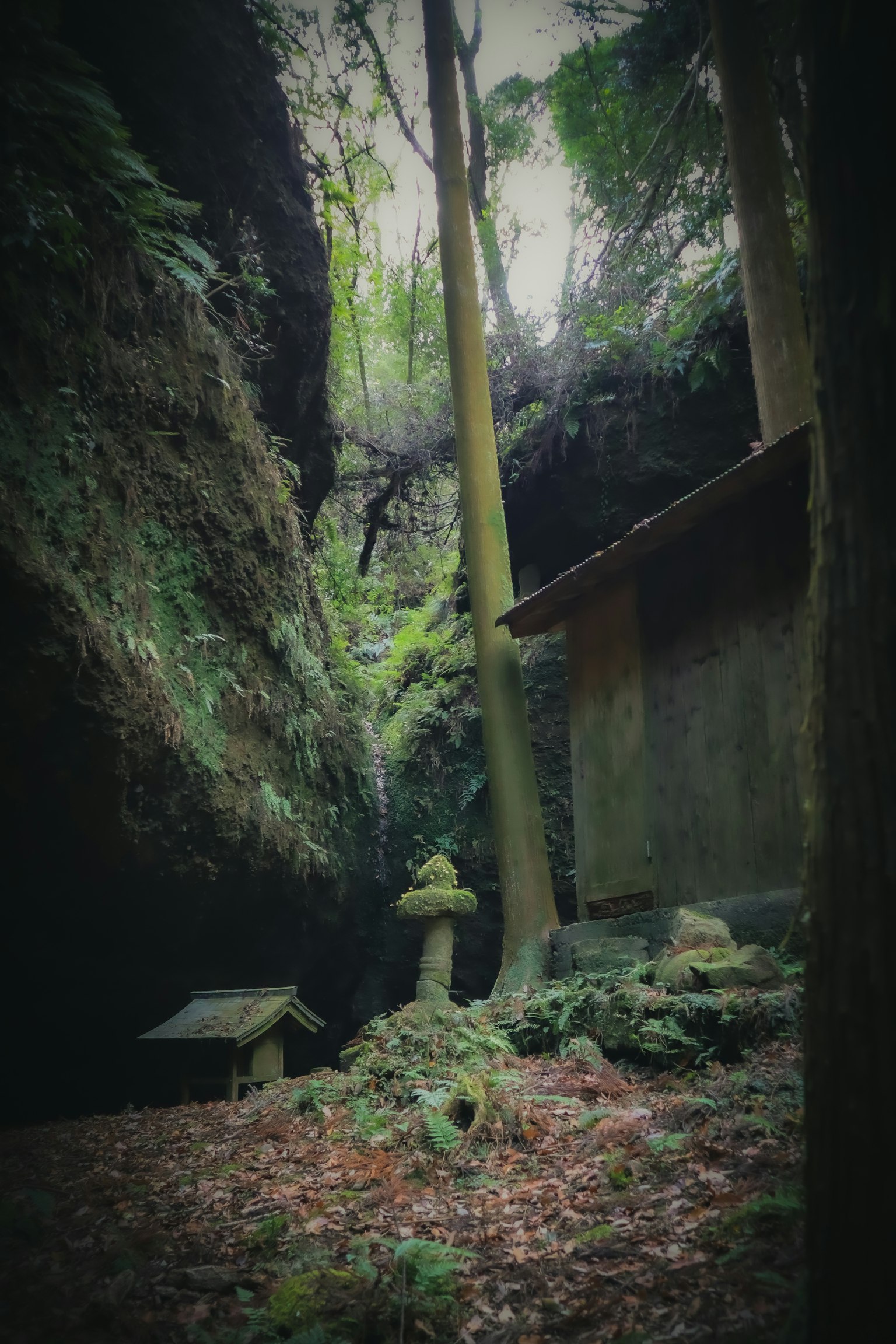 深林中有古老建筑和石灯笼的宁静地点
