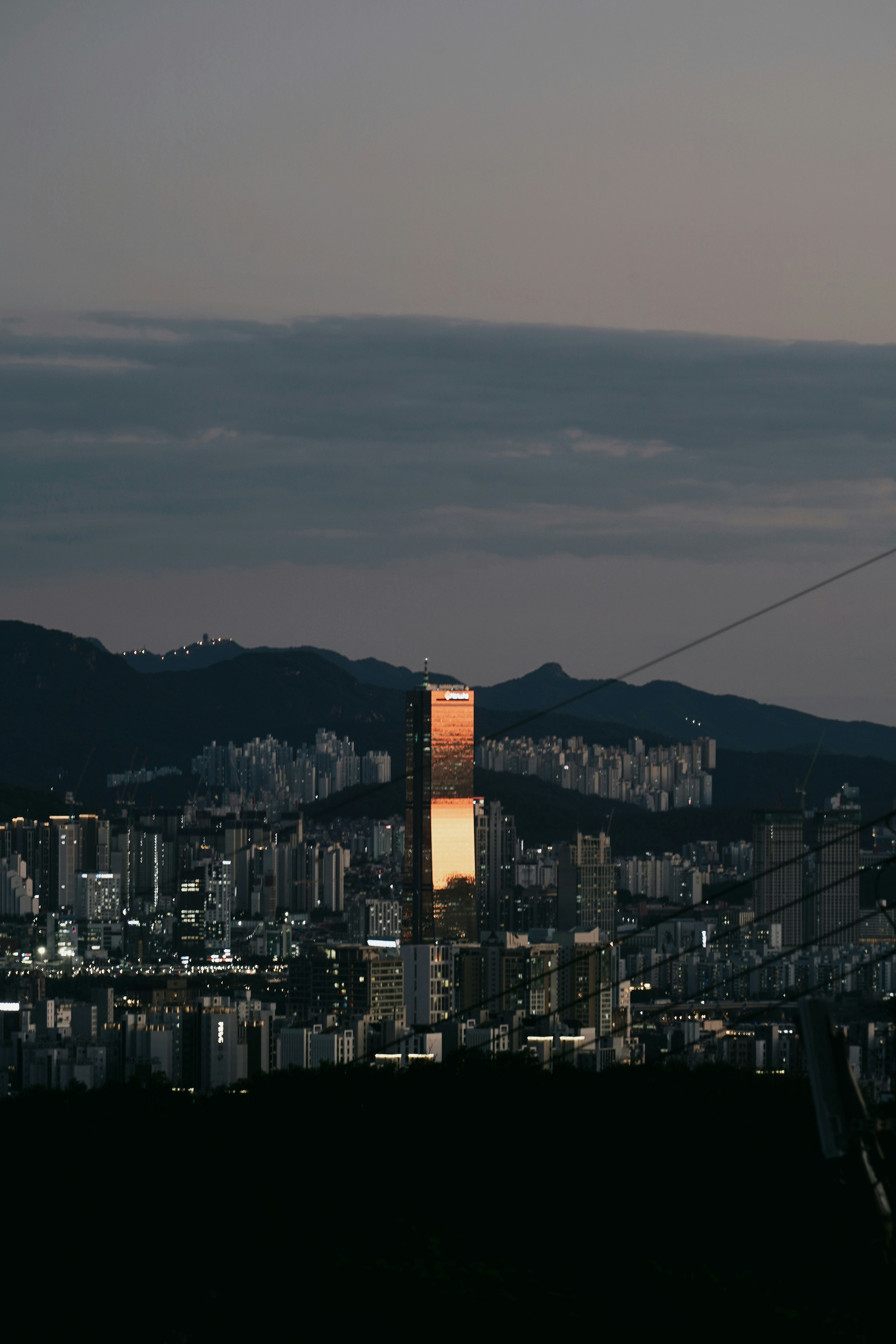 夜景の高層ビル群と山並みを望む眺望