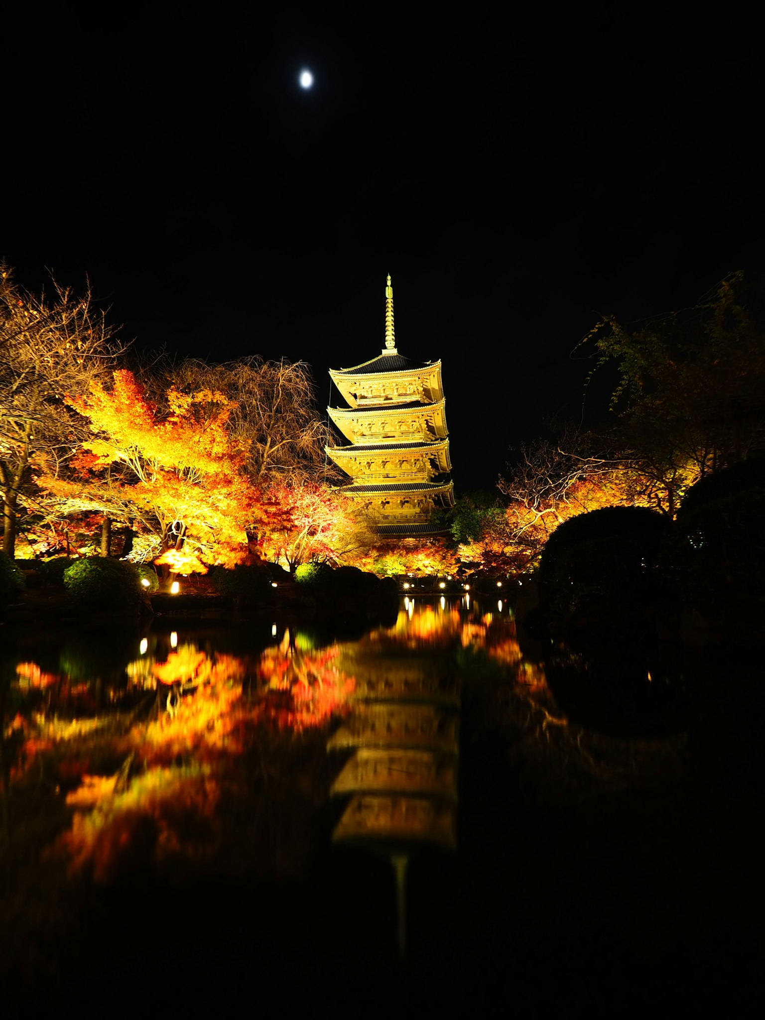 Cảnh đẹp của một ngôi chùa phản chiếu dưới nước bao quanh bởi lá mùa thu vào ban đêm