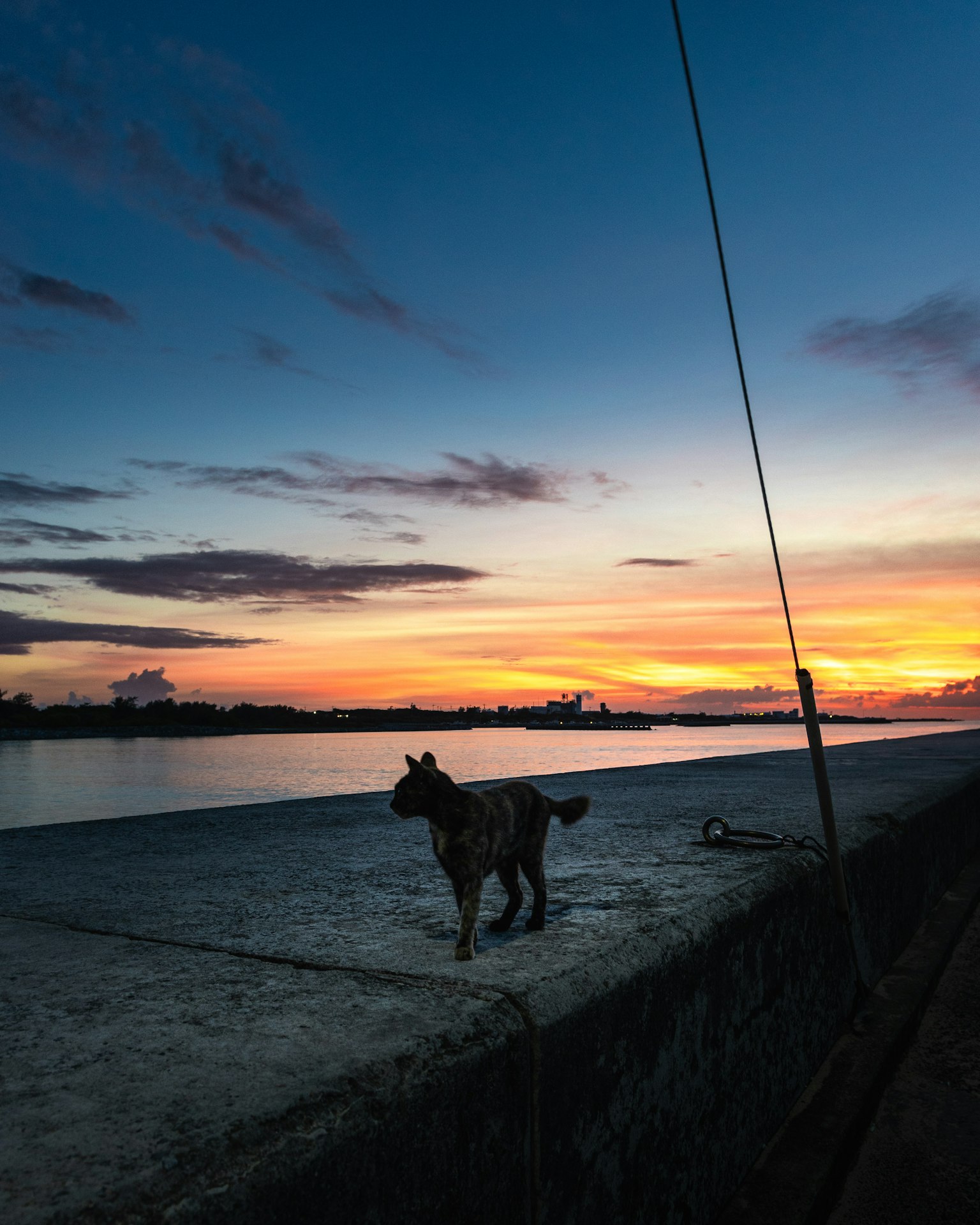 Cane che cammina lungo un molo al tramonto con cielo colorato
