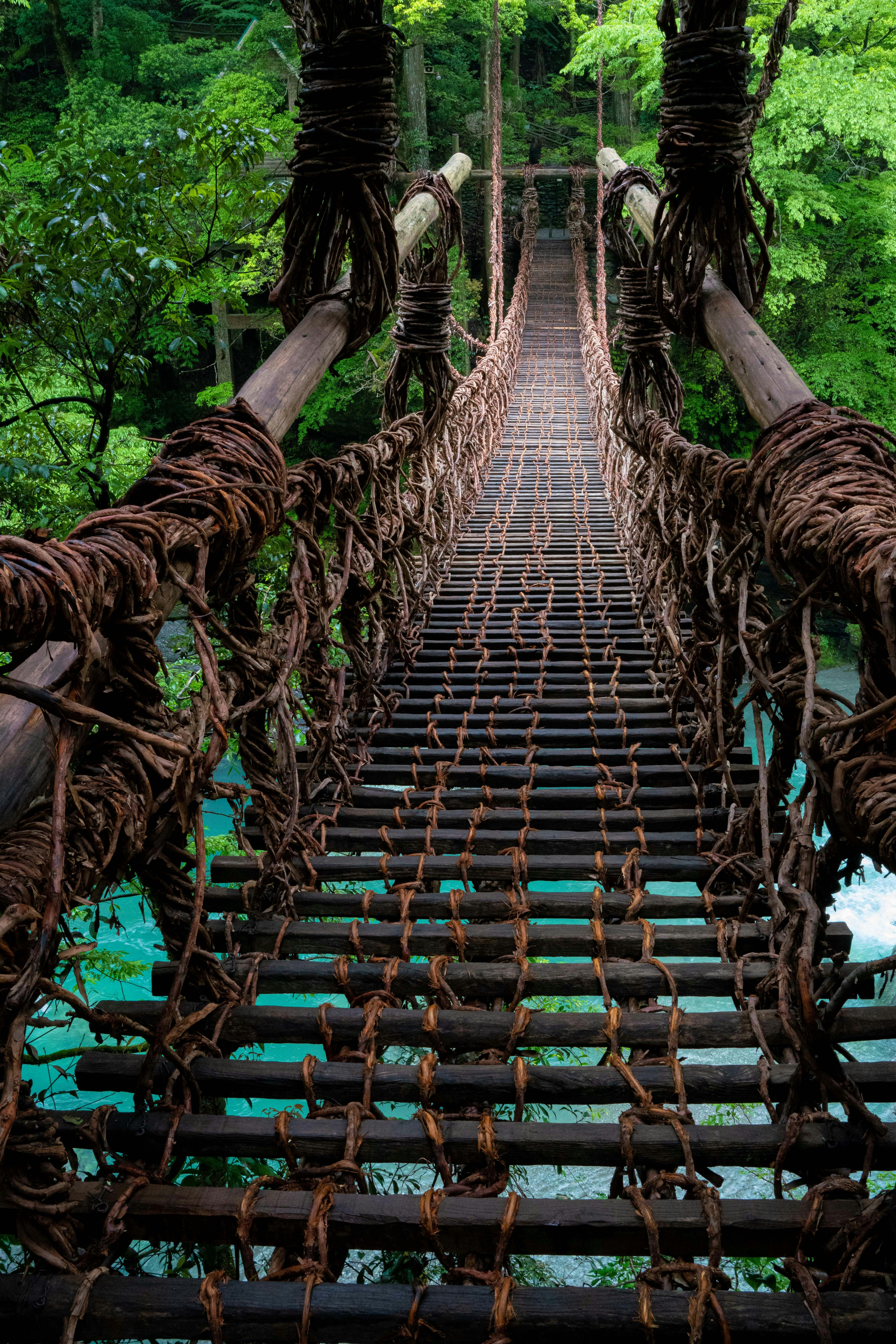 ทางเดินสะพานแขวนในป่าฝนเขตร้อนที่เขียวชอุ่ม
