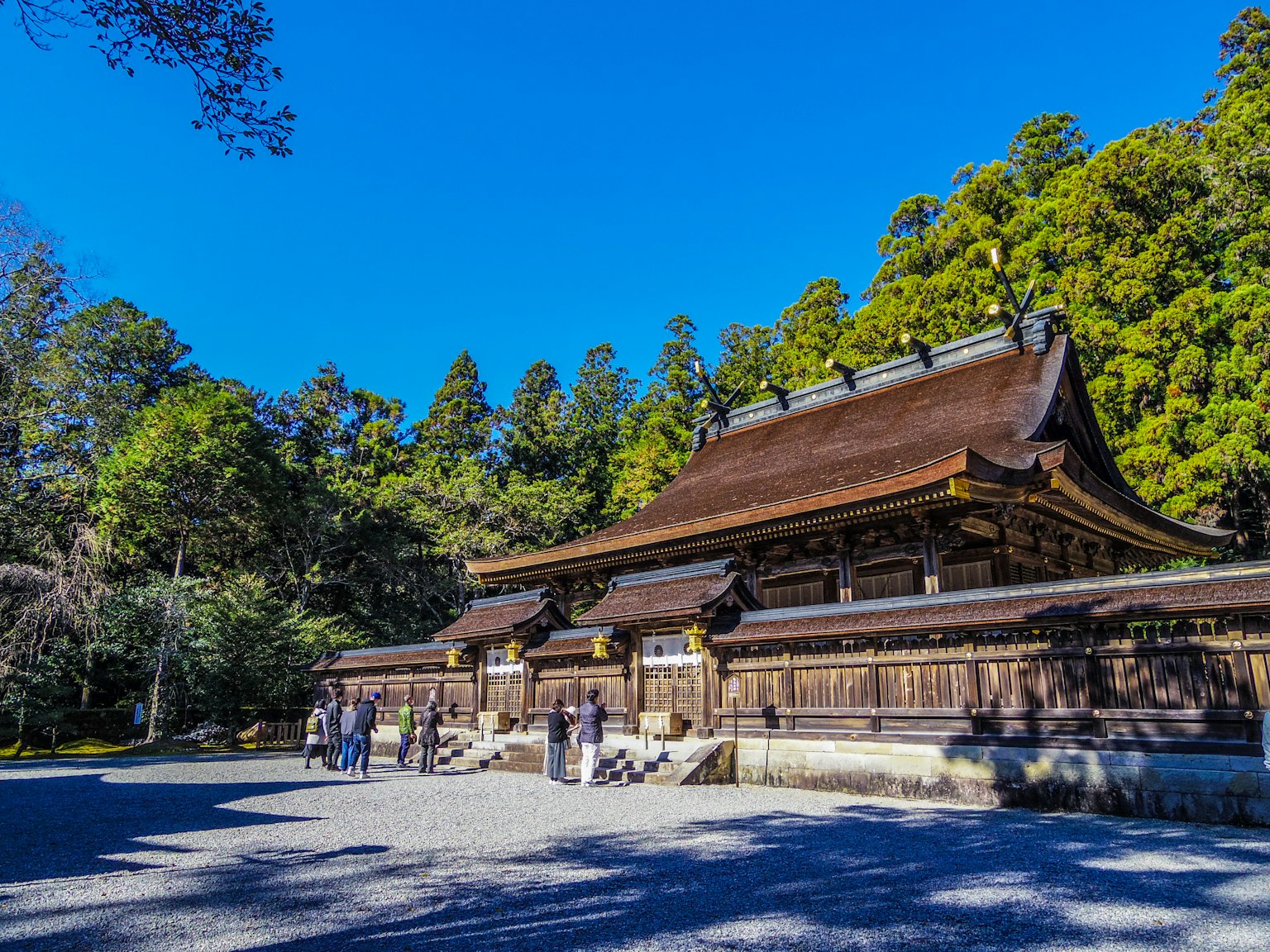 被绿树环绕的美丽神社建筑和晴朗的蓝天