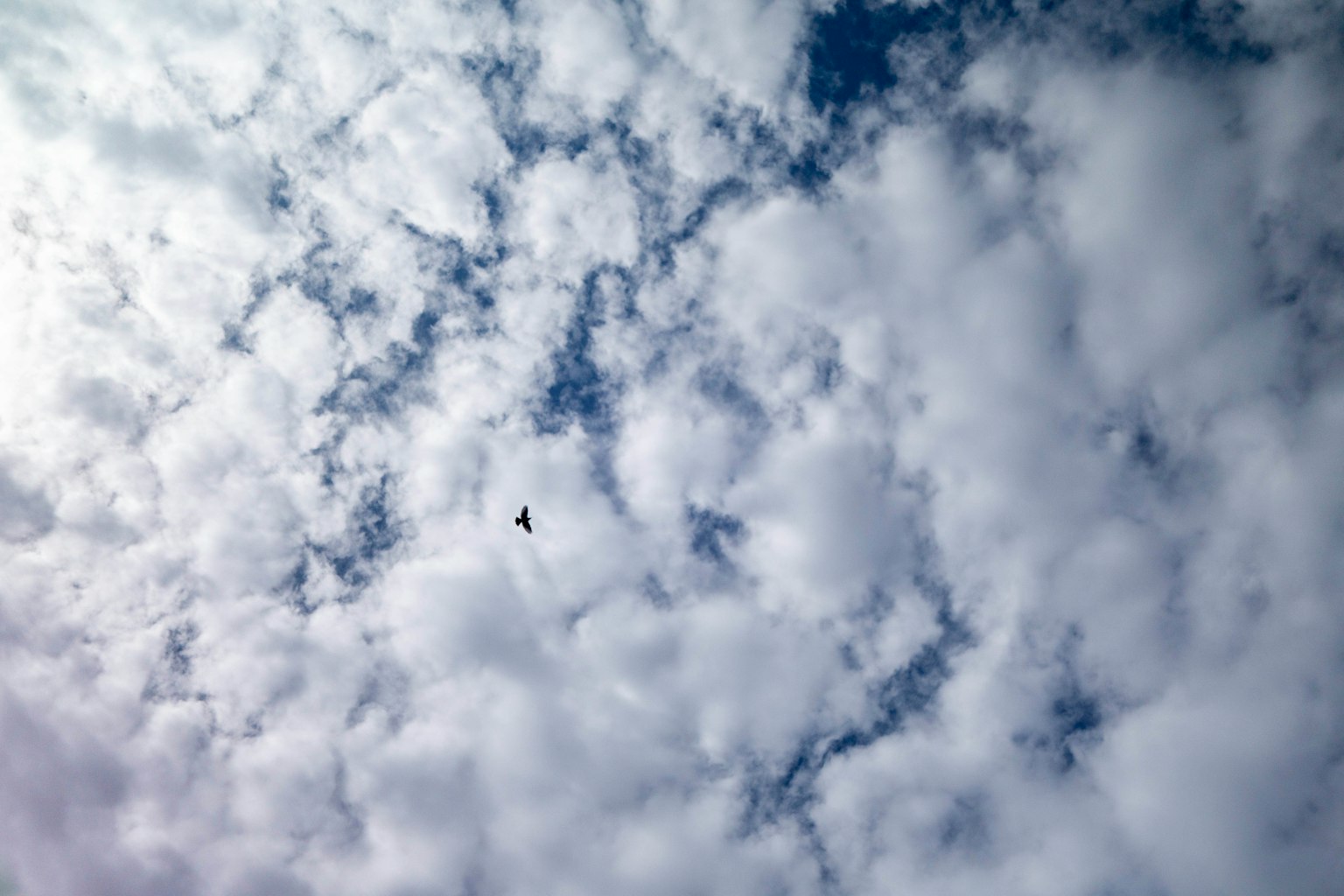 White clouds in a blue sky with a small airplane