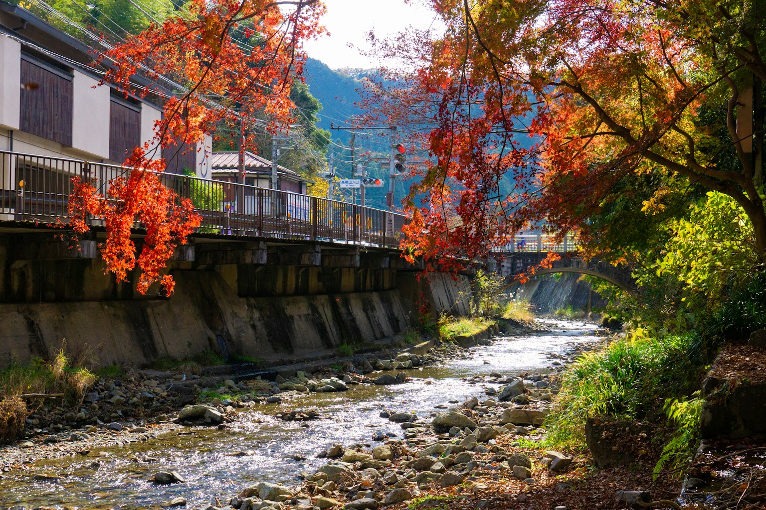 Vista escénica junto al río con follaje otoñal vibrante árboles rojos y verdes edificios cercanos y un arroyo suave