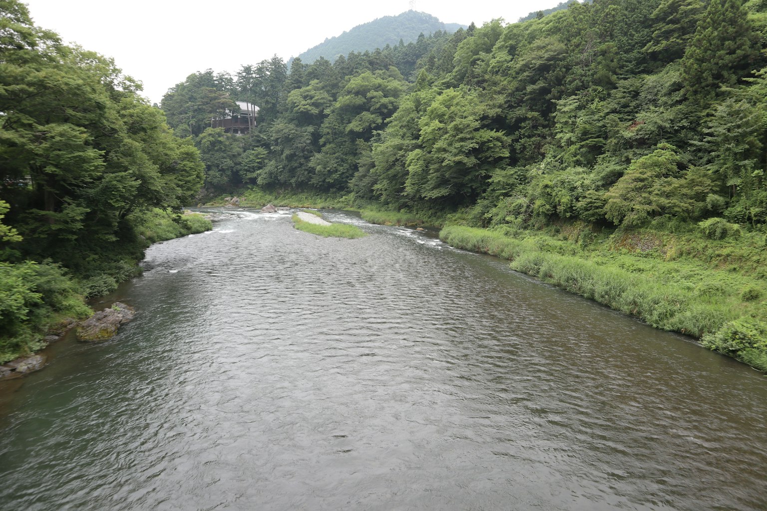 Eine ruhige Flusslandschaft umgeben von üppigem Grün