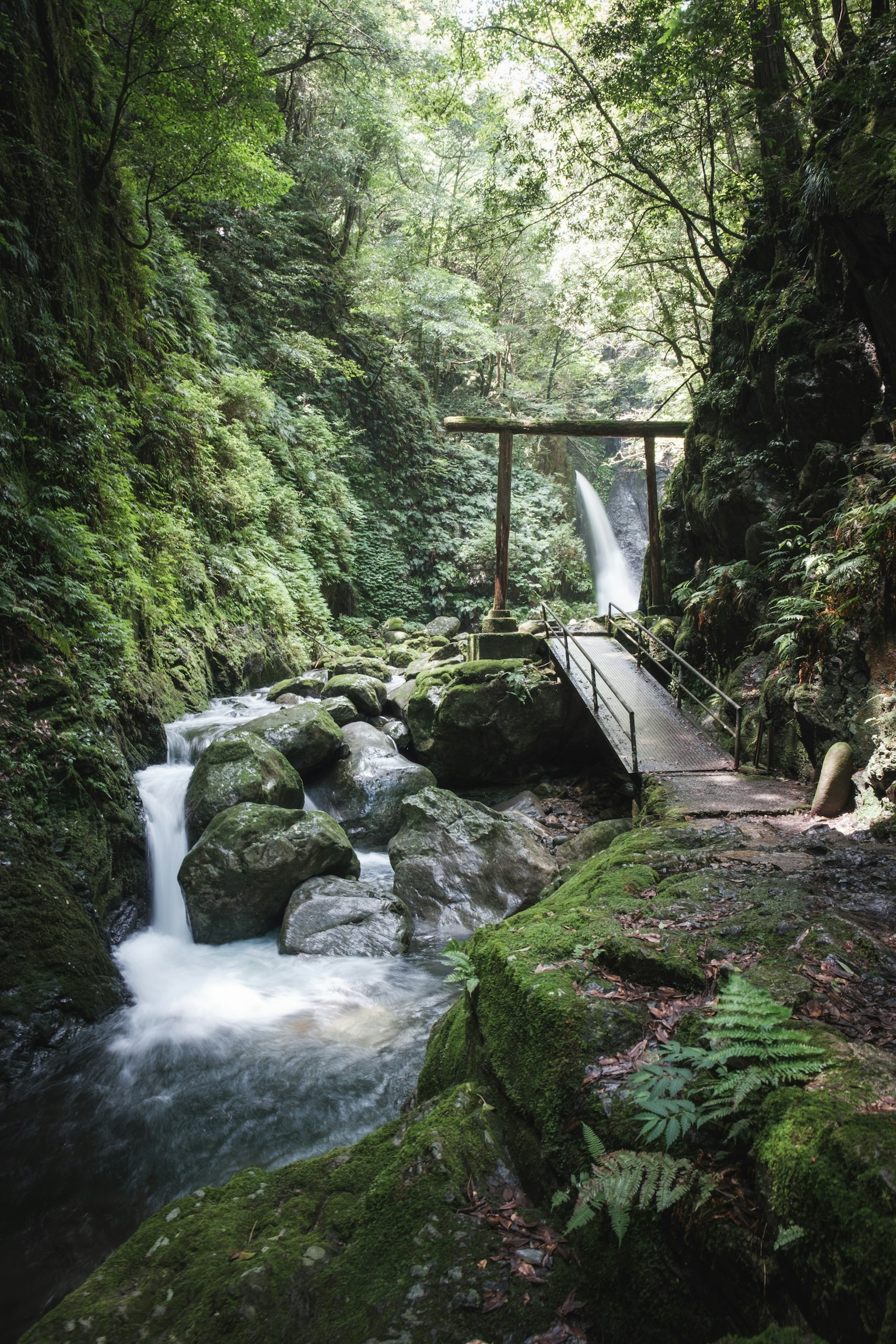 Pemandangan indah dengan jembatan kayu di atas sungai yang mengalir di lembah hijau