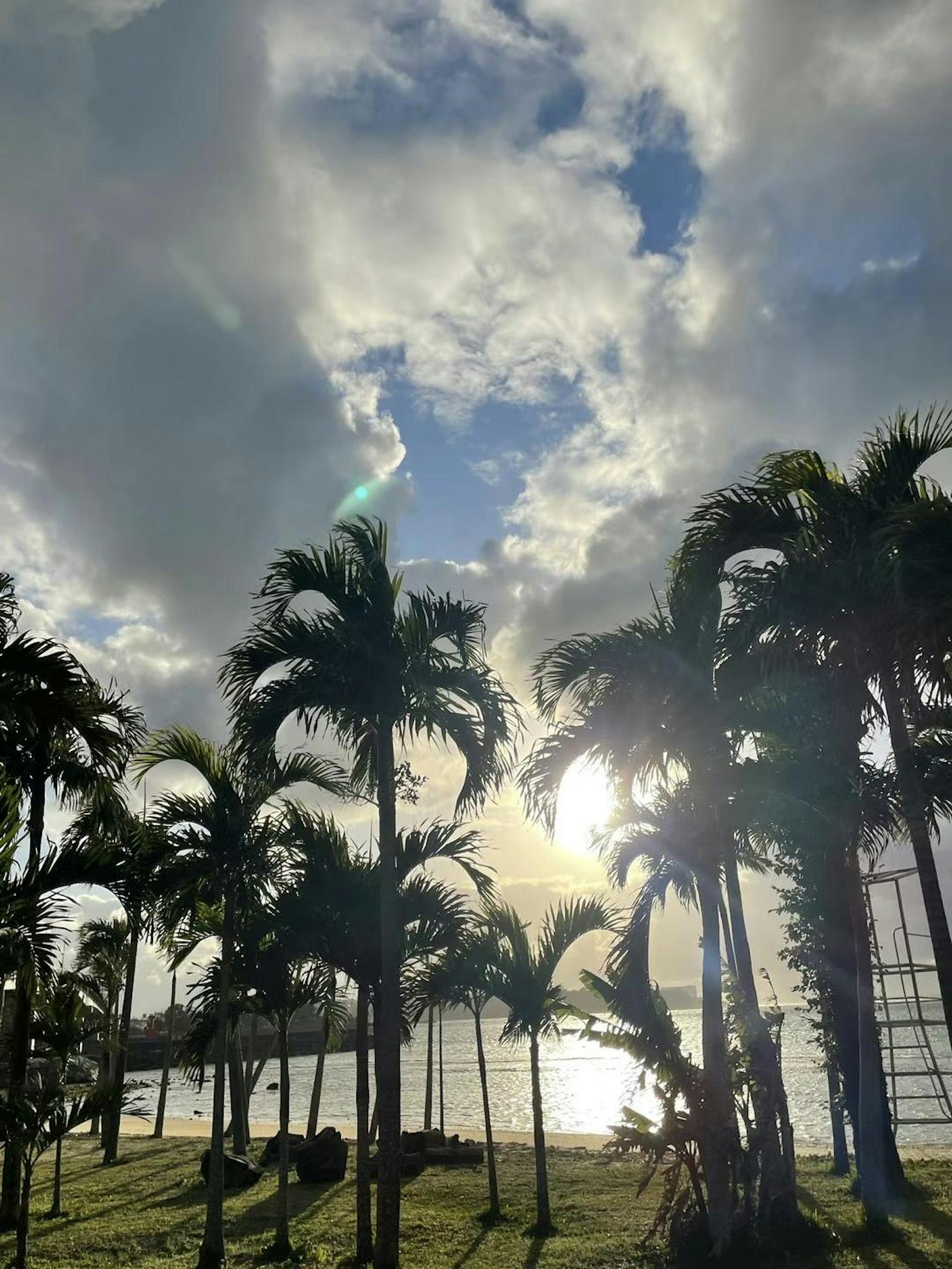 Palme silhouette contro un cielo nuvoloso e luce solare che si riflette sull'acqua