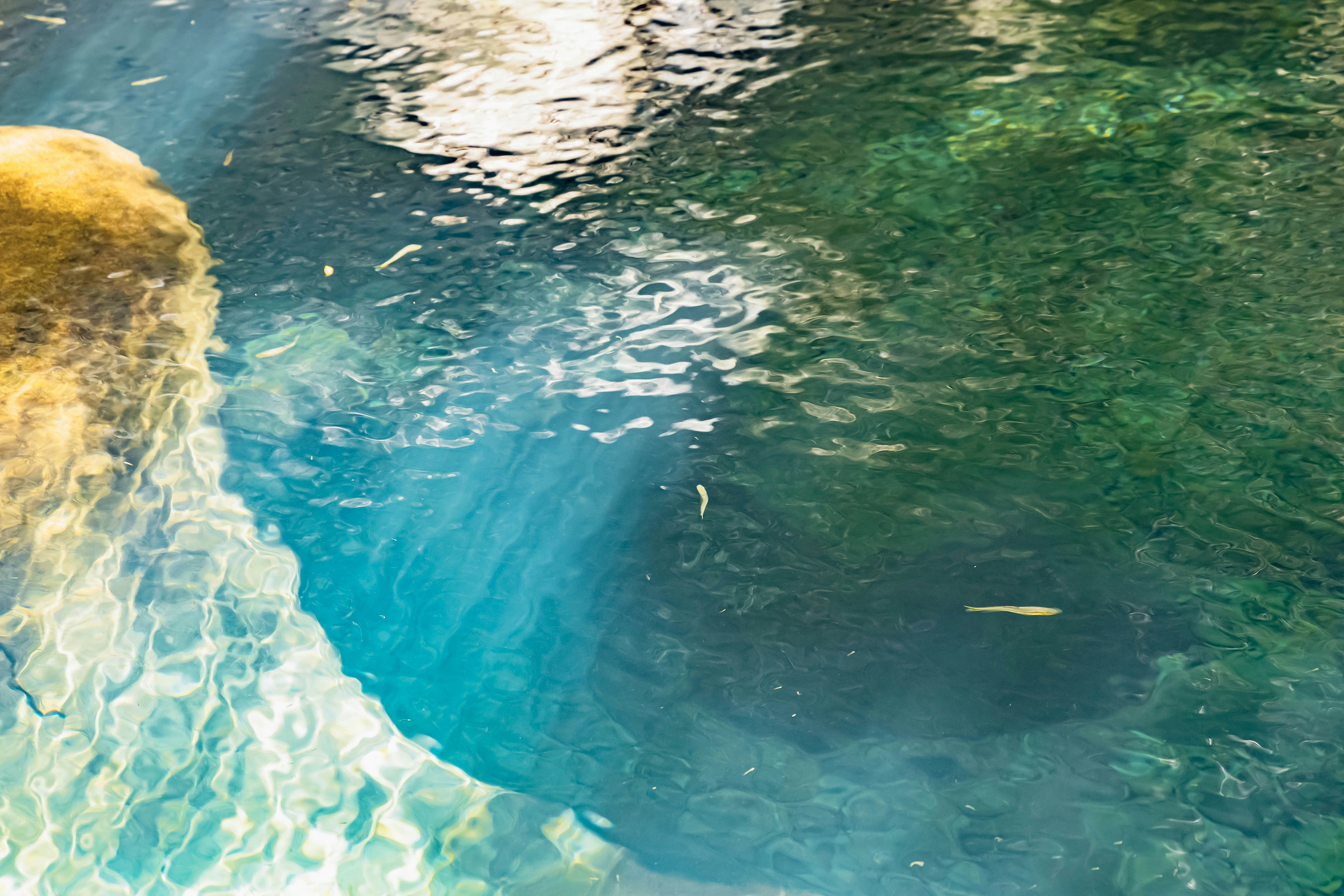 岩肌のある水面と水中の光の揺らぎ