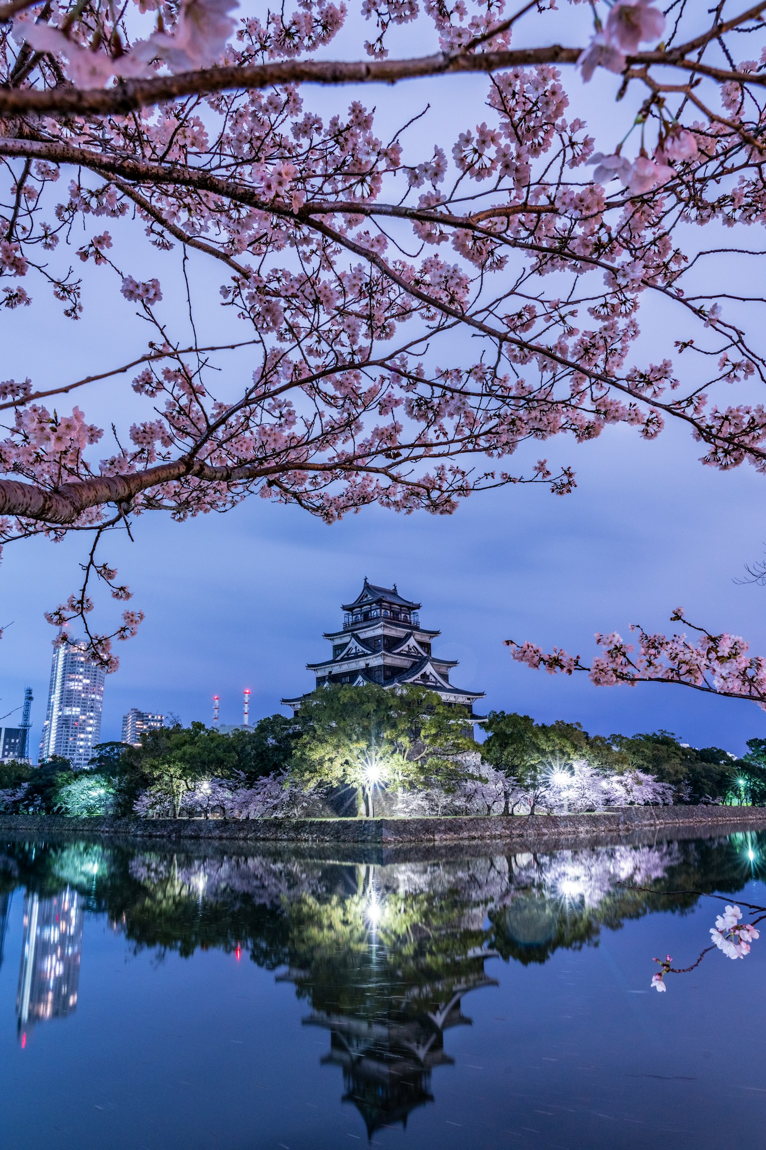photo-L1pH4OaT6DowpJ50Yl11-image
