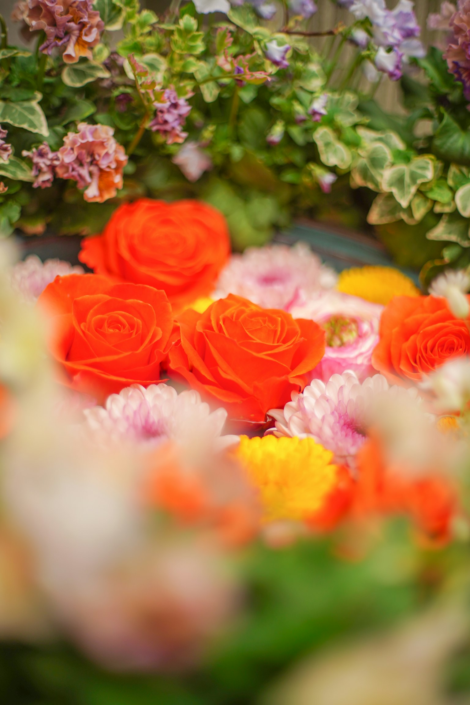 Schöne Anordnung von orangefarbenen und rosa Blumen
