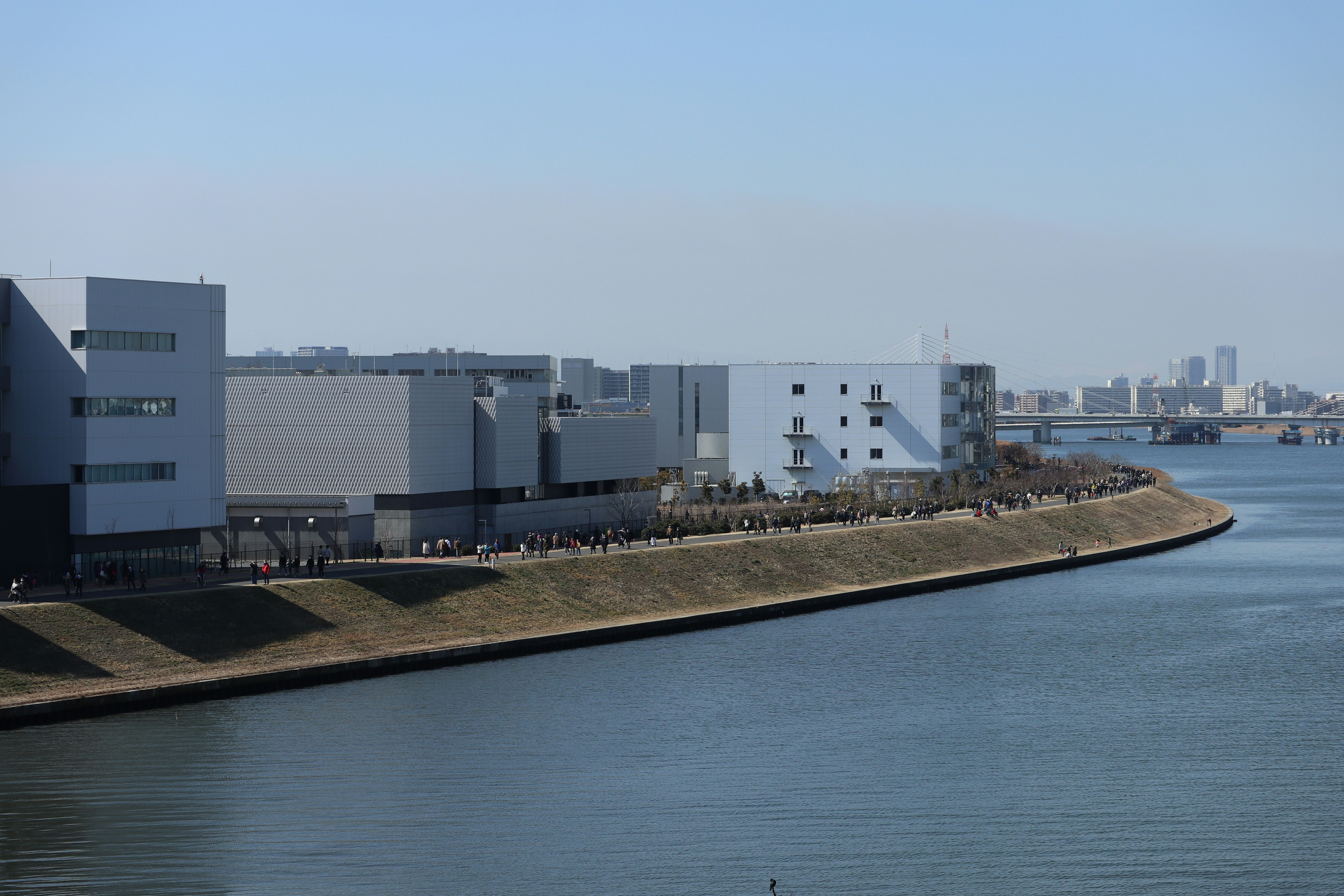 河岸堤岸与大型建筑并排的城市景观