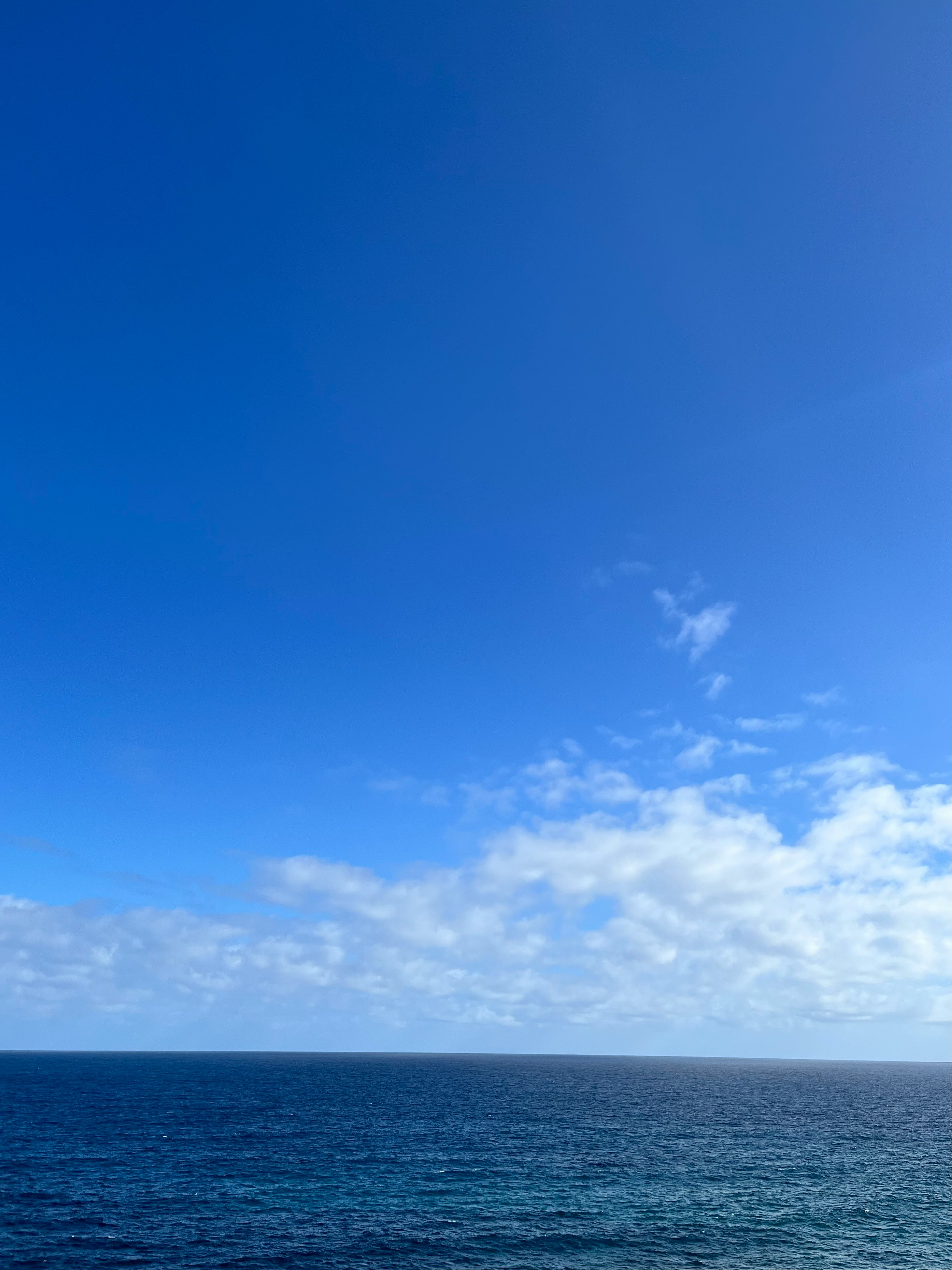 水平線まで広がる青い海と空の風景