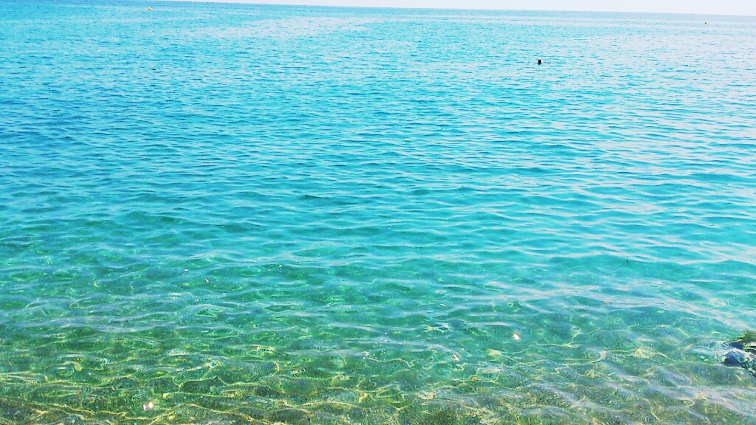 Hermoso paisaje marino con superficie de agua turquesa clara