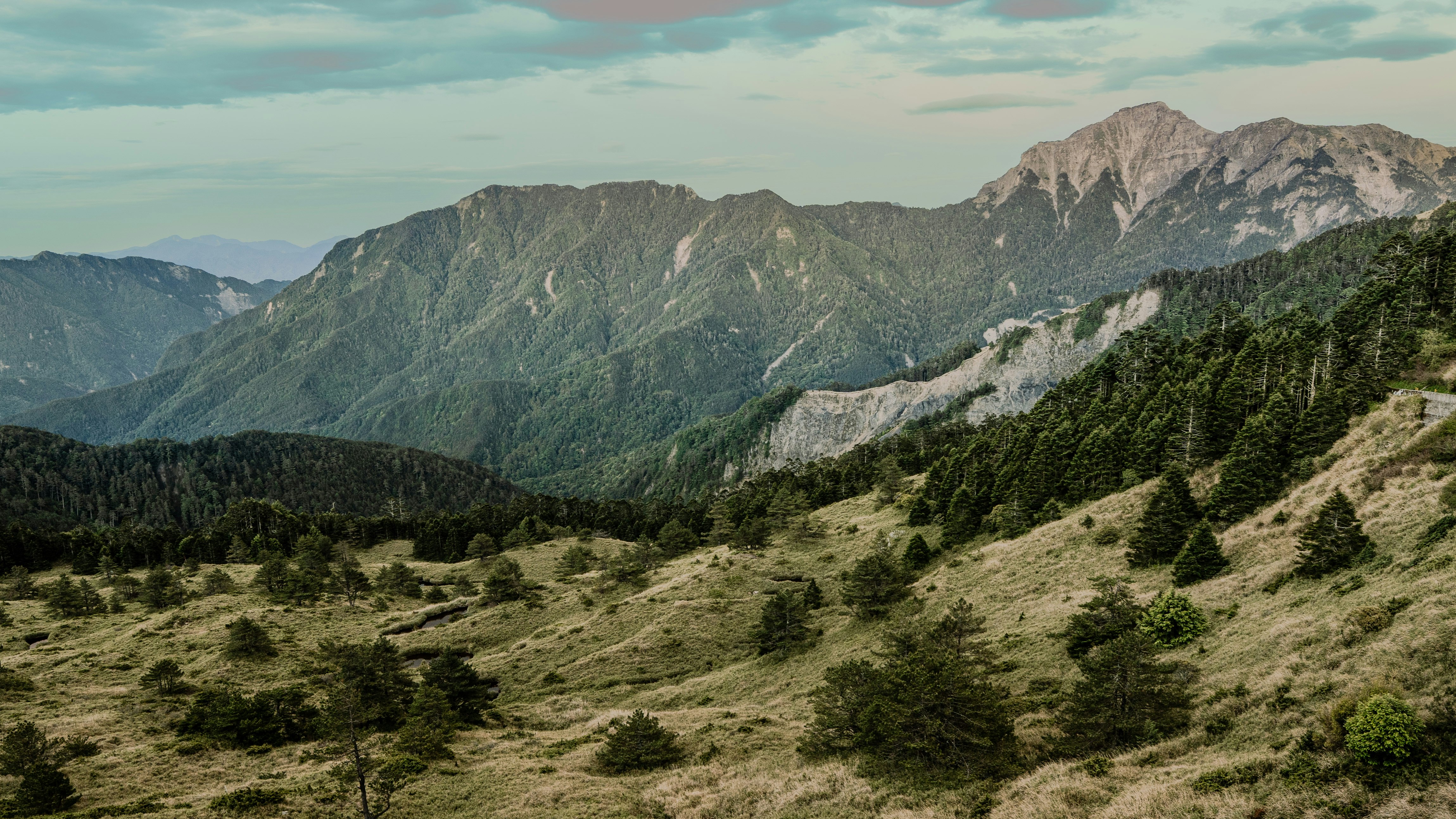 合歓山の冷杉林が広がる山岳風景
