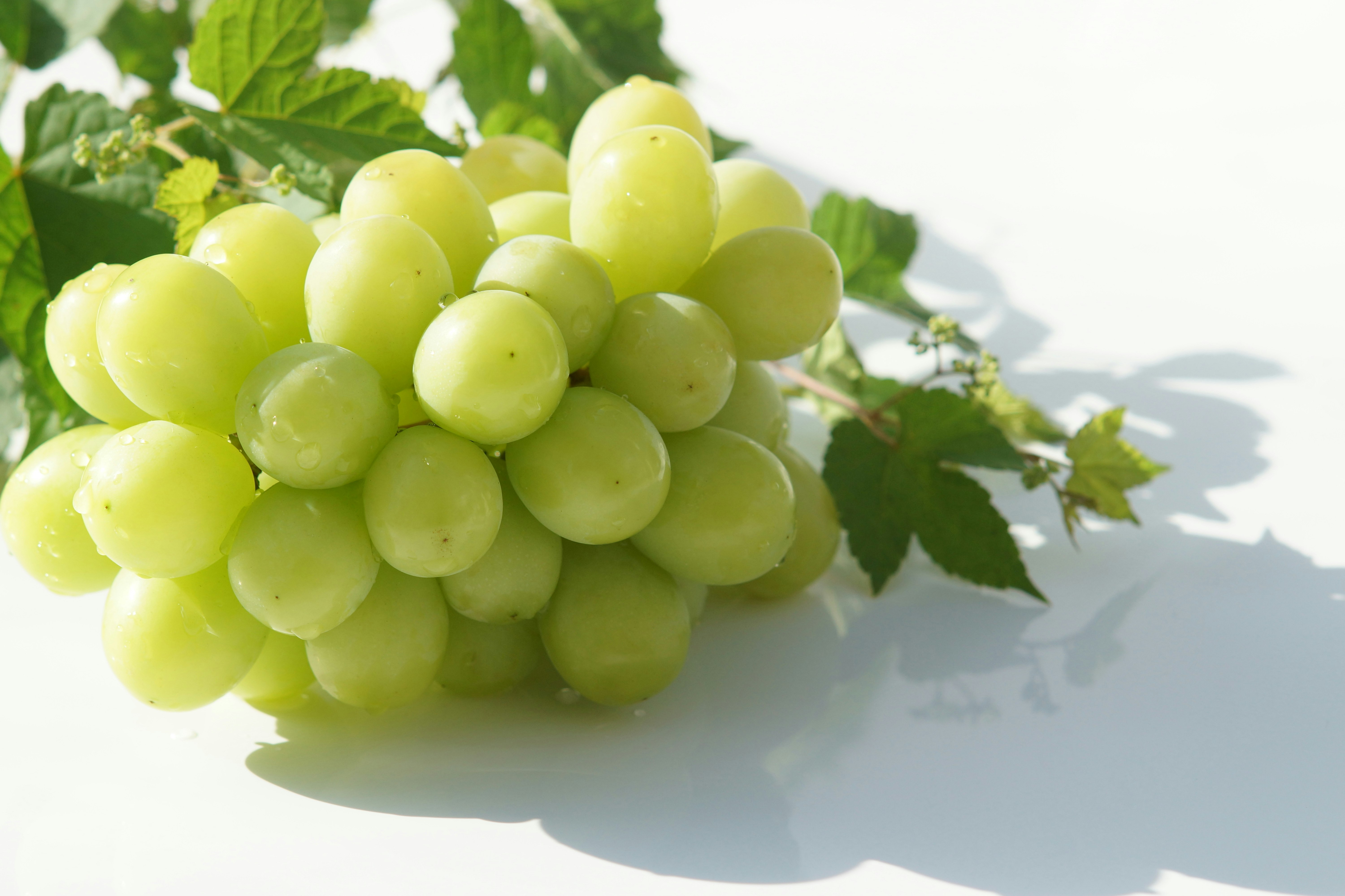 green grapes bunch on a white background