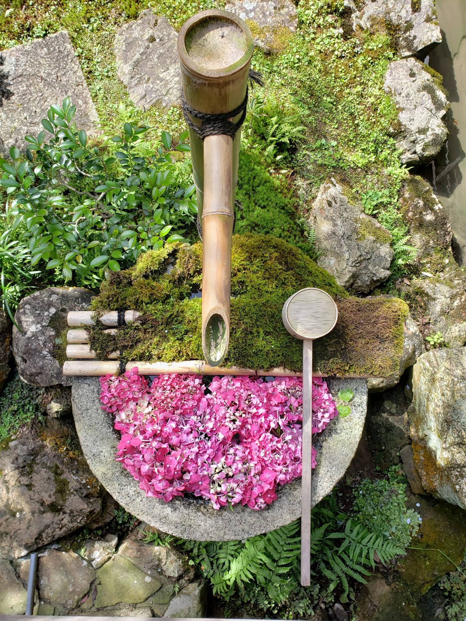 Bambus-Wasserstelle in einem Garten mit einem Bett aus rosa Blumen