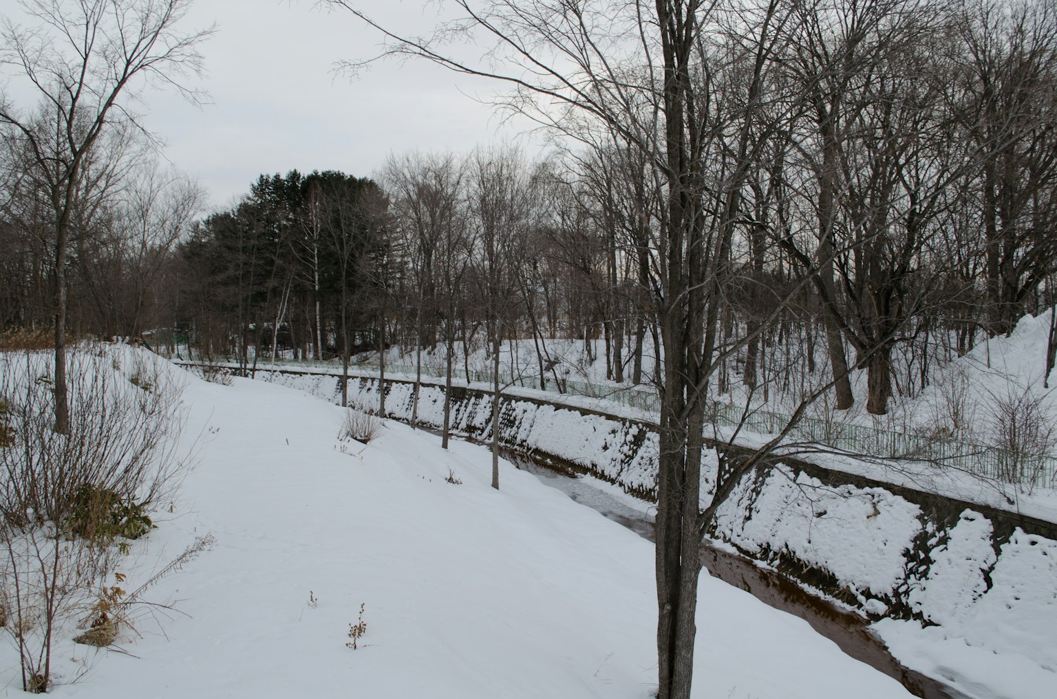 Winter landscape with a snow-covered creek and bare trees