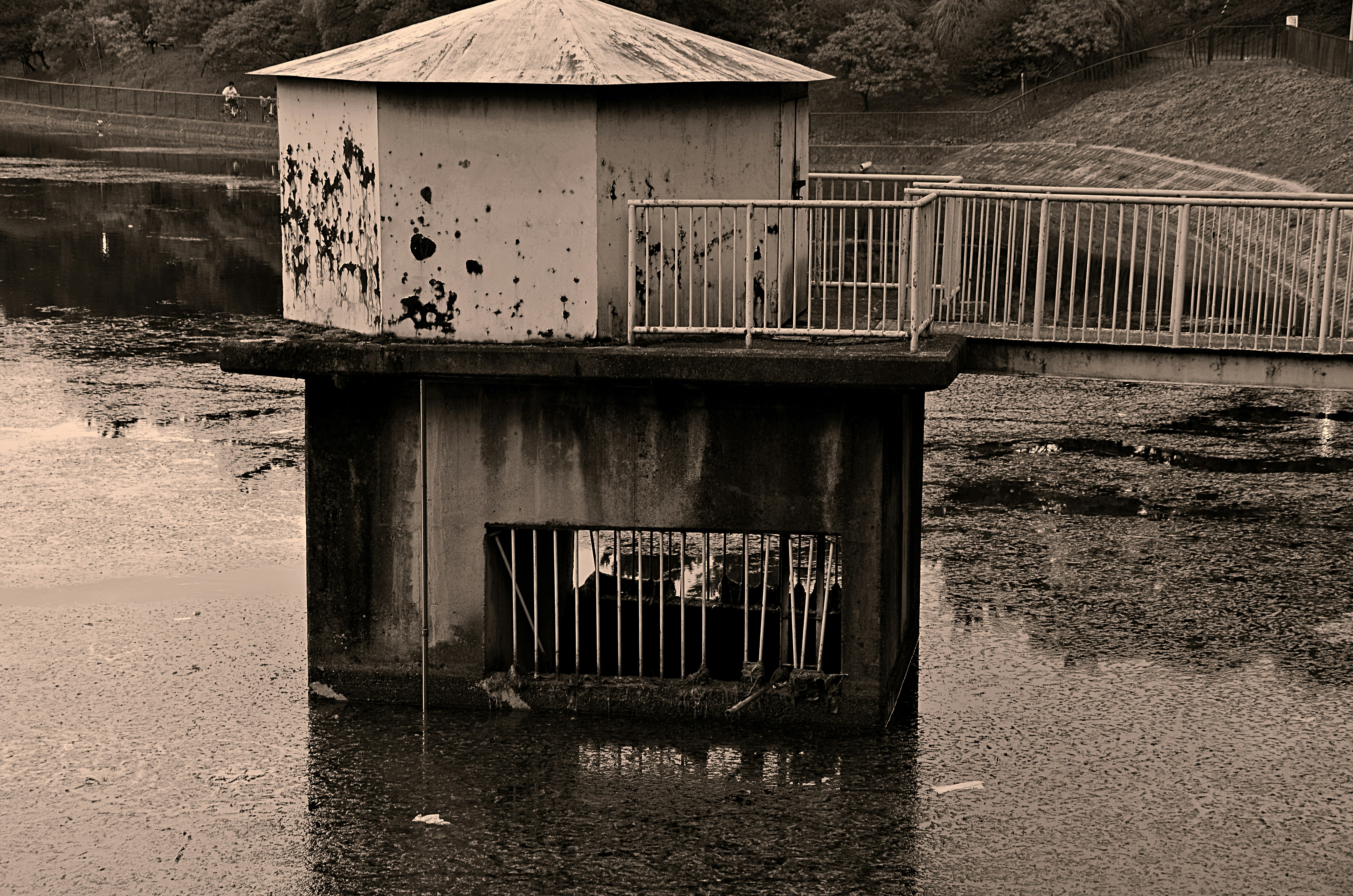水面に浮かぶ古いポンプ小屋とその周りの湿地