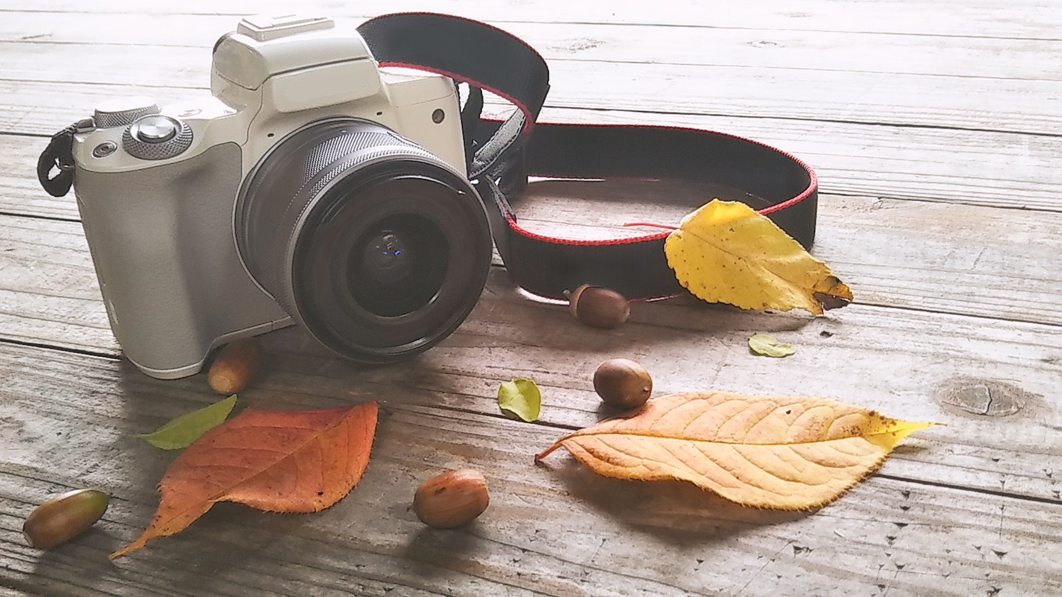 Eine weiße Kamera mit Herbstblättern auf einem Holztisch
