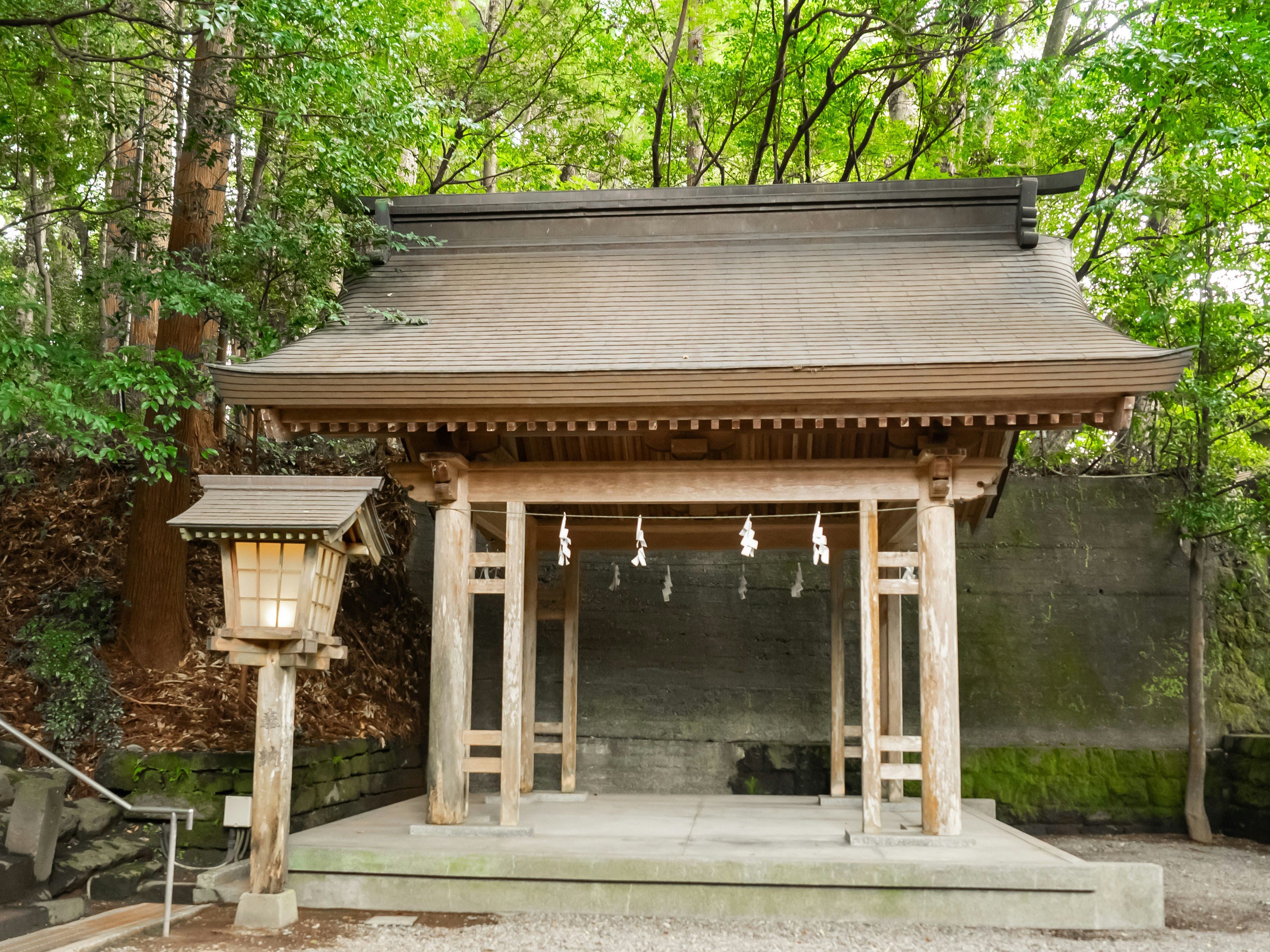 被茂密綠意環繞的小型神社建築