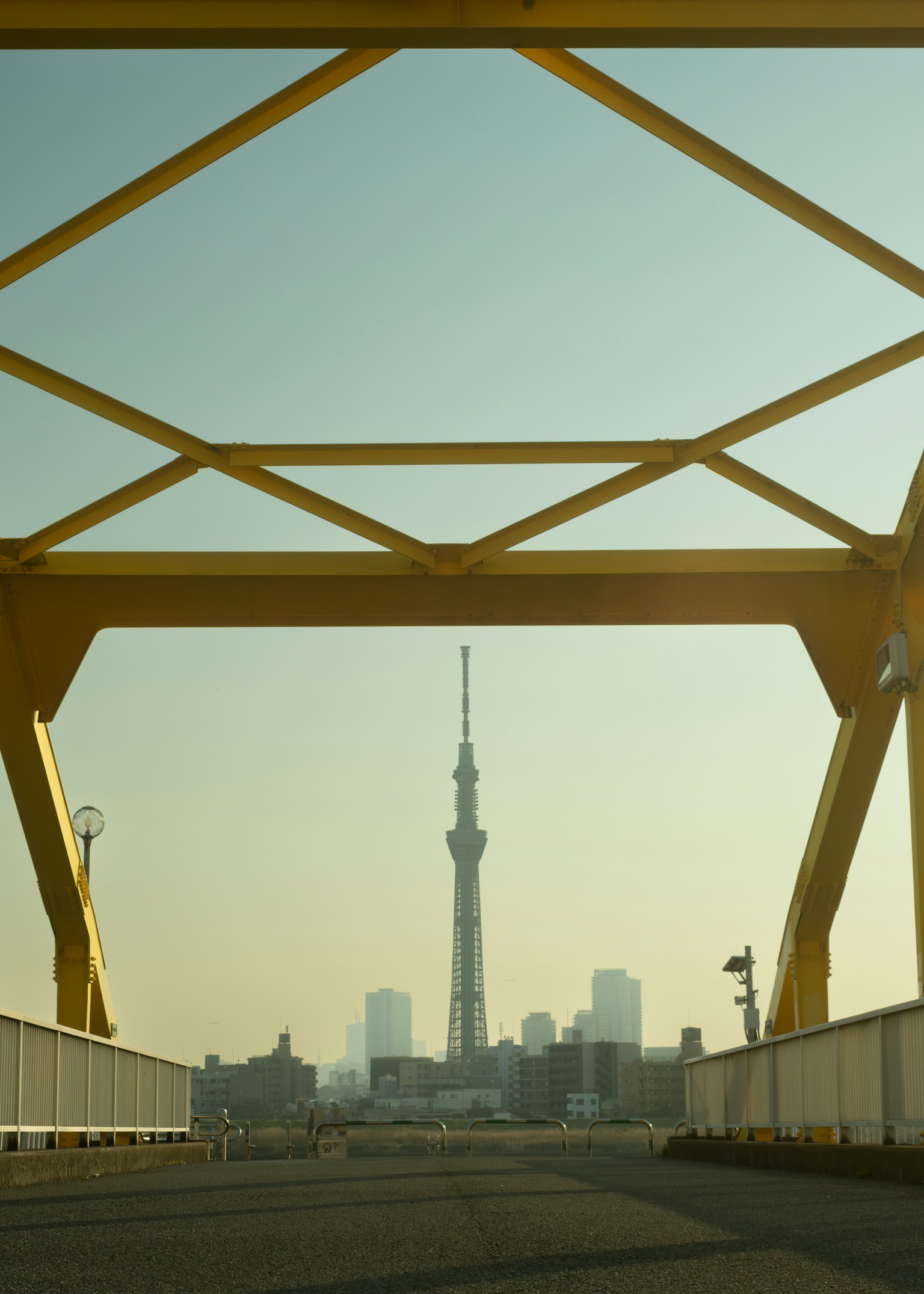 photo-L6XfyImZV3I9vikteXcf-image