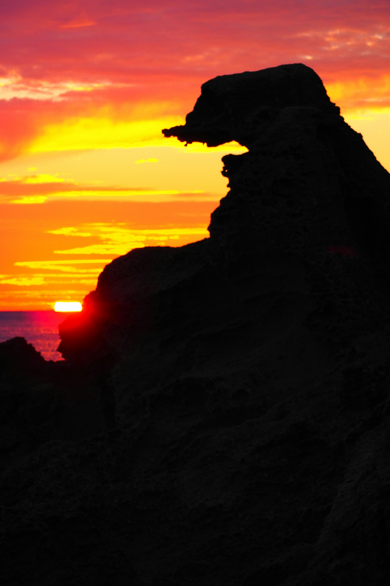 Silueta de una formación rocosa que se asemeja a un perro contra un atardecer vibrante