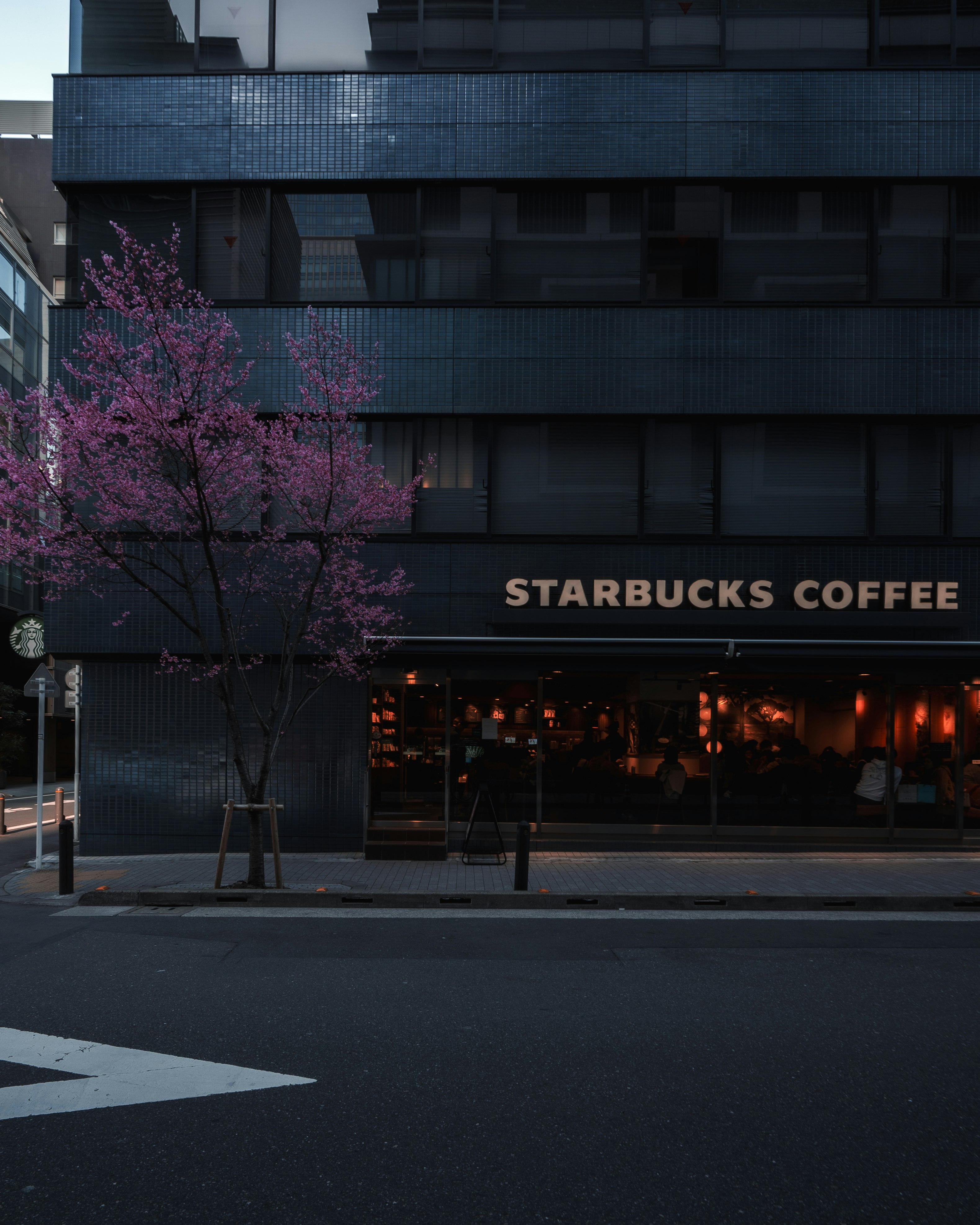 日本橋のスターバックス店舗前の桜並木と外観