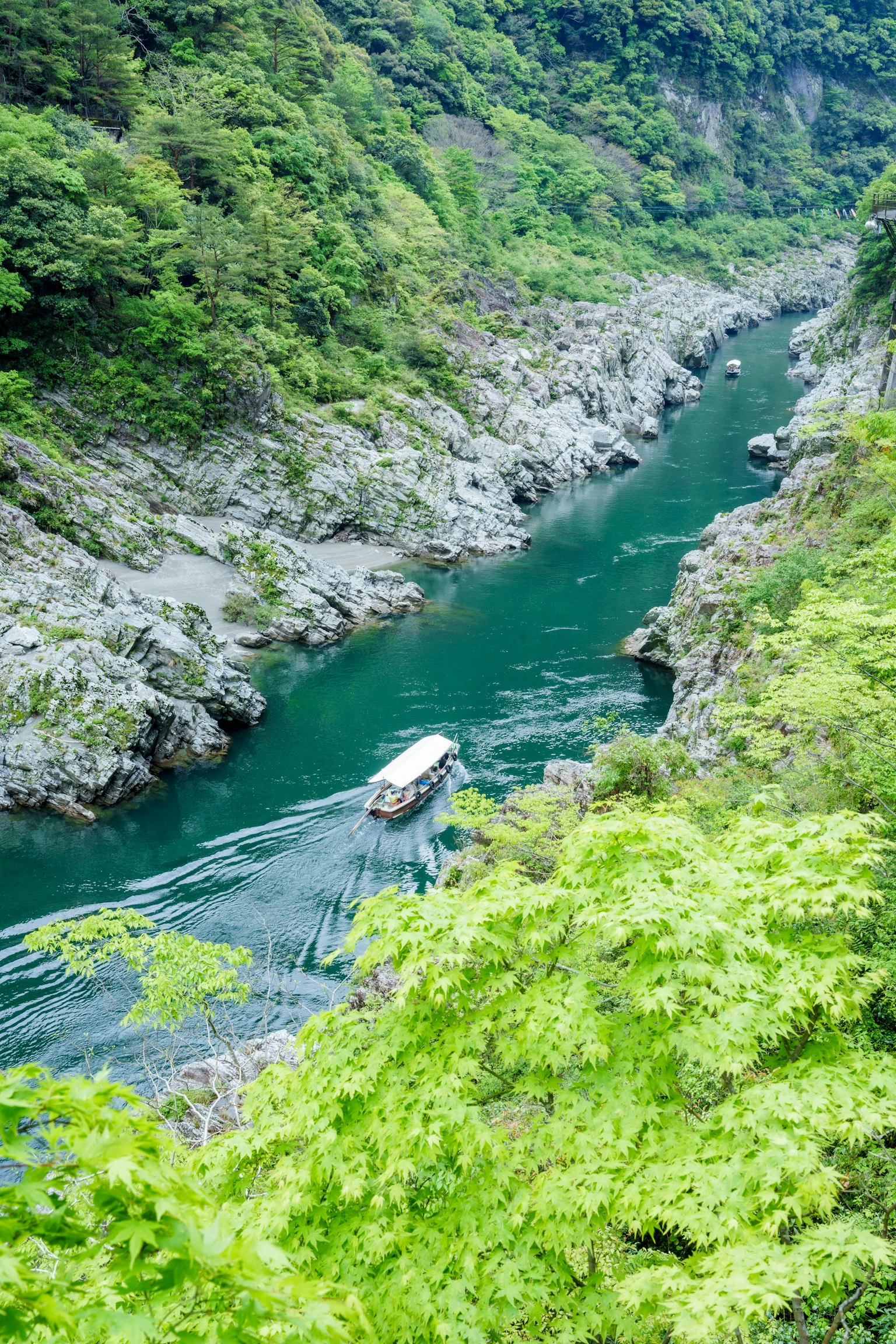 绿色山谷中流淌的河流与小船的风景