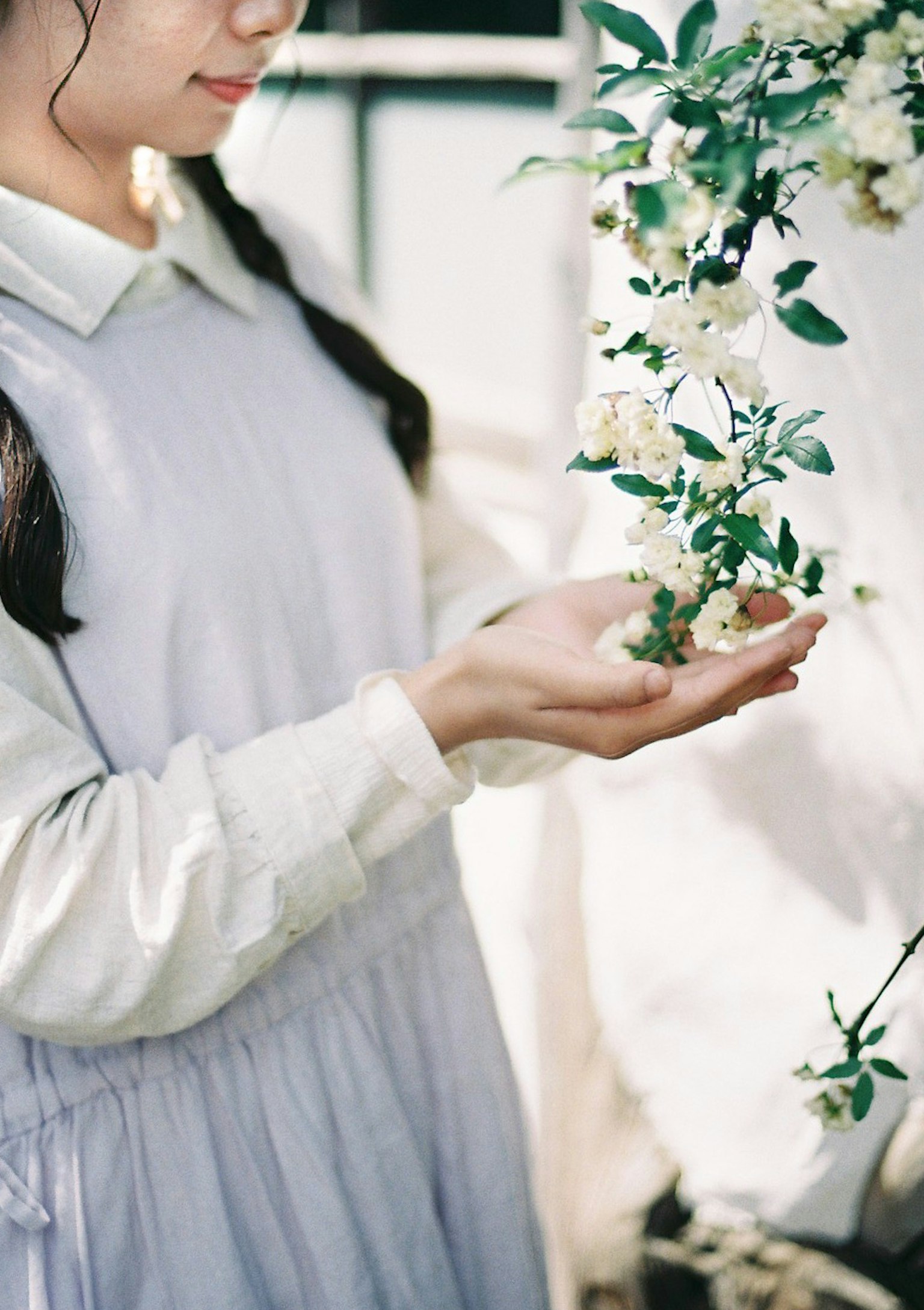 一位女性手中握着花朵，穿着优雅的裙子