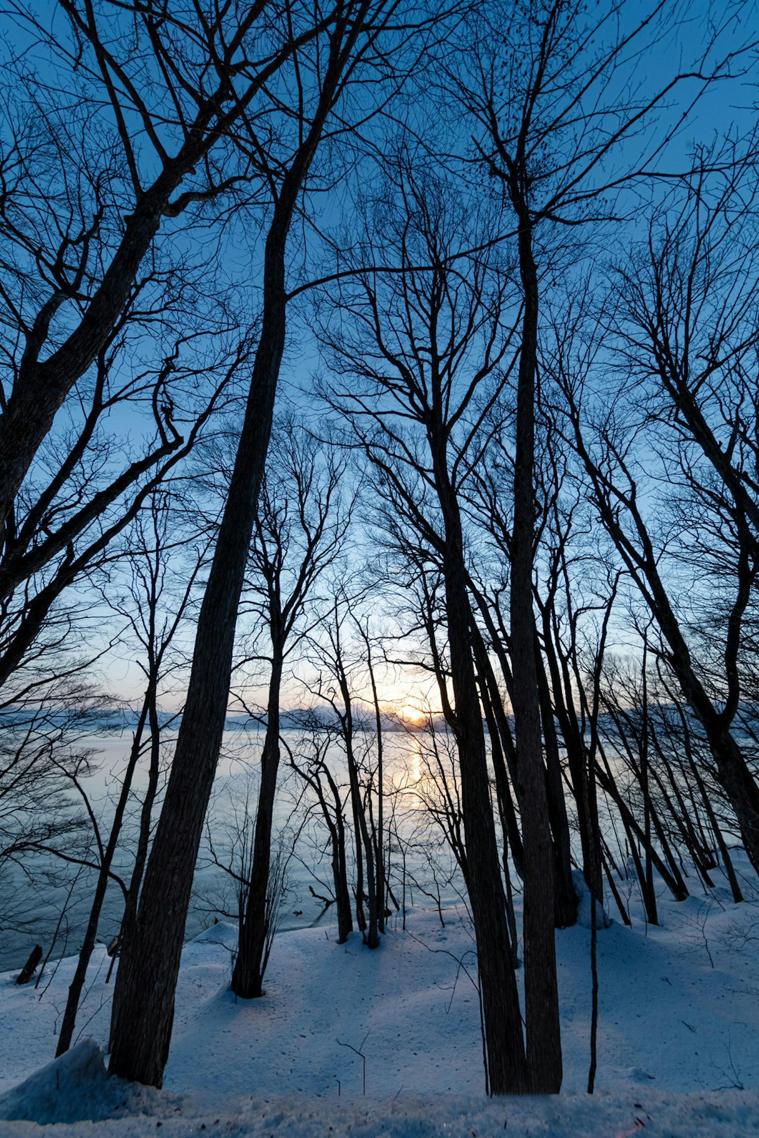 宁静的湖边景色，雪覆盖的地面和冬季树木
