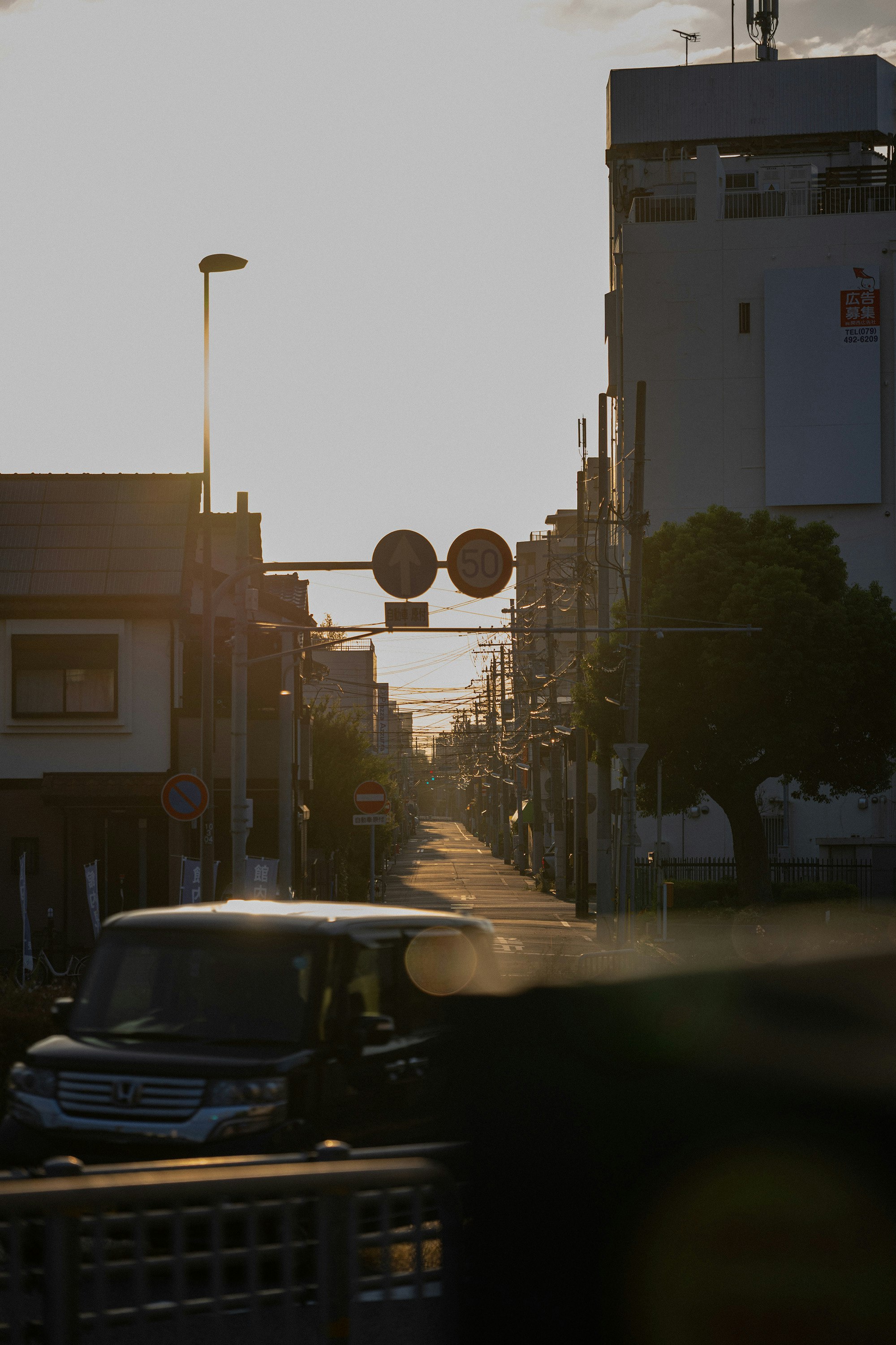 夕日が差し込む静かな街道に車が停まっている