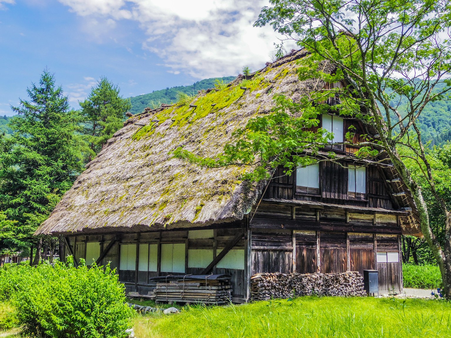 Traditional Japanese house with thatched roof standing in a green meadow
