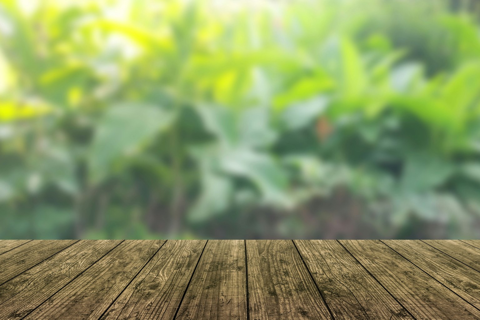 Table en bois avec un arrière-plan vert flou