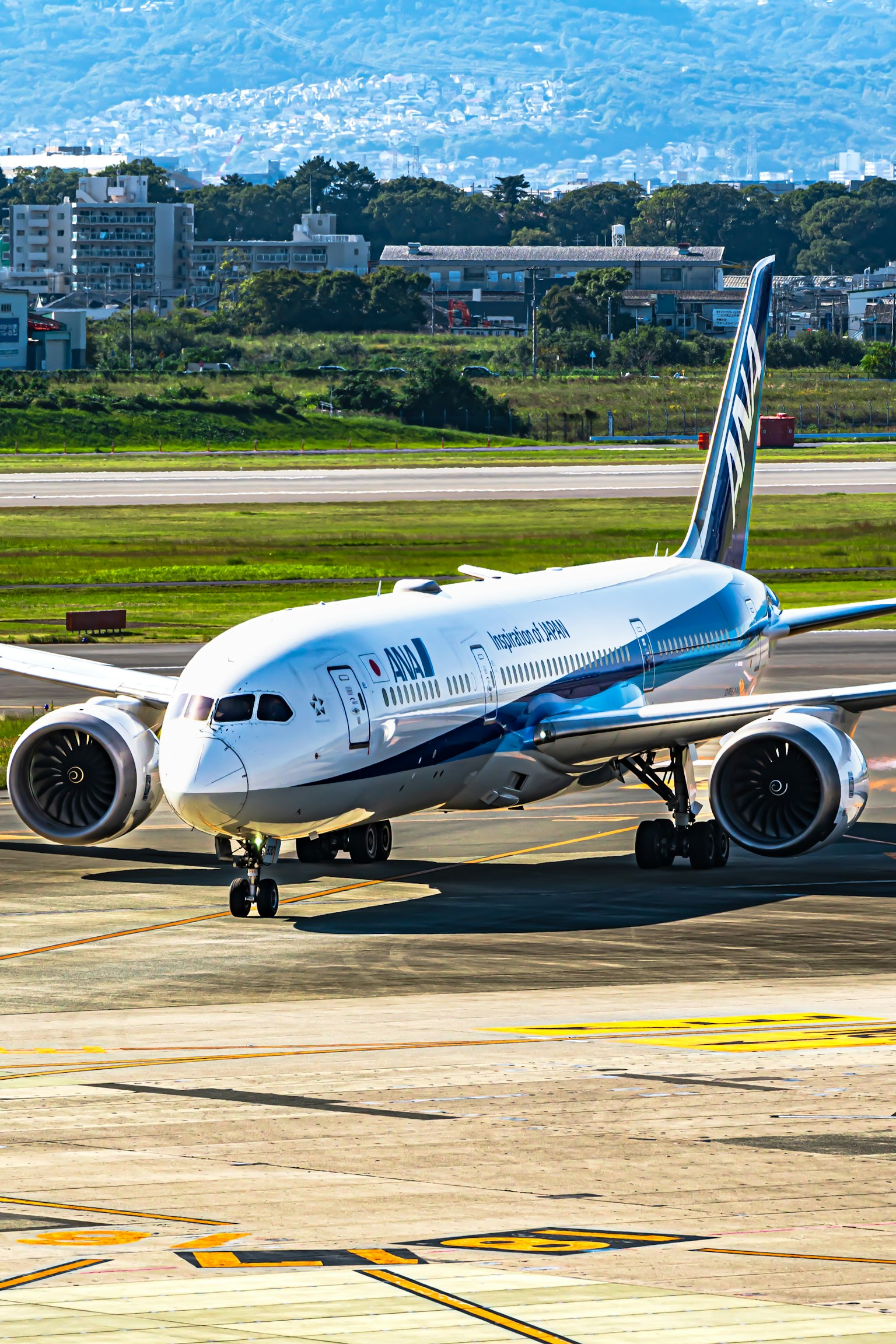 Boeing 787 on the runway in blue and white colors
