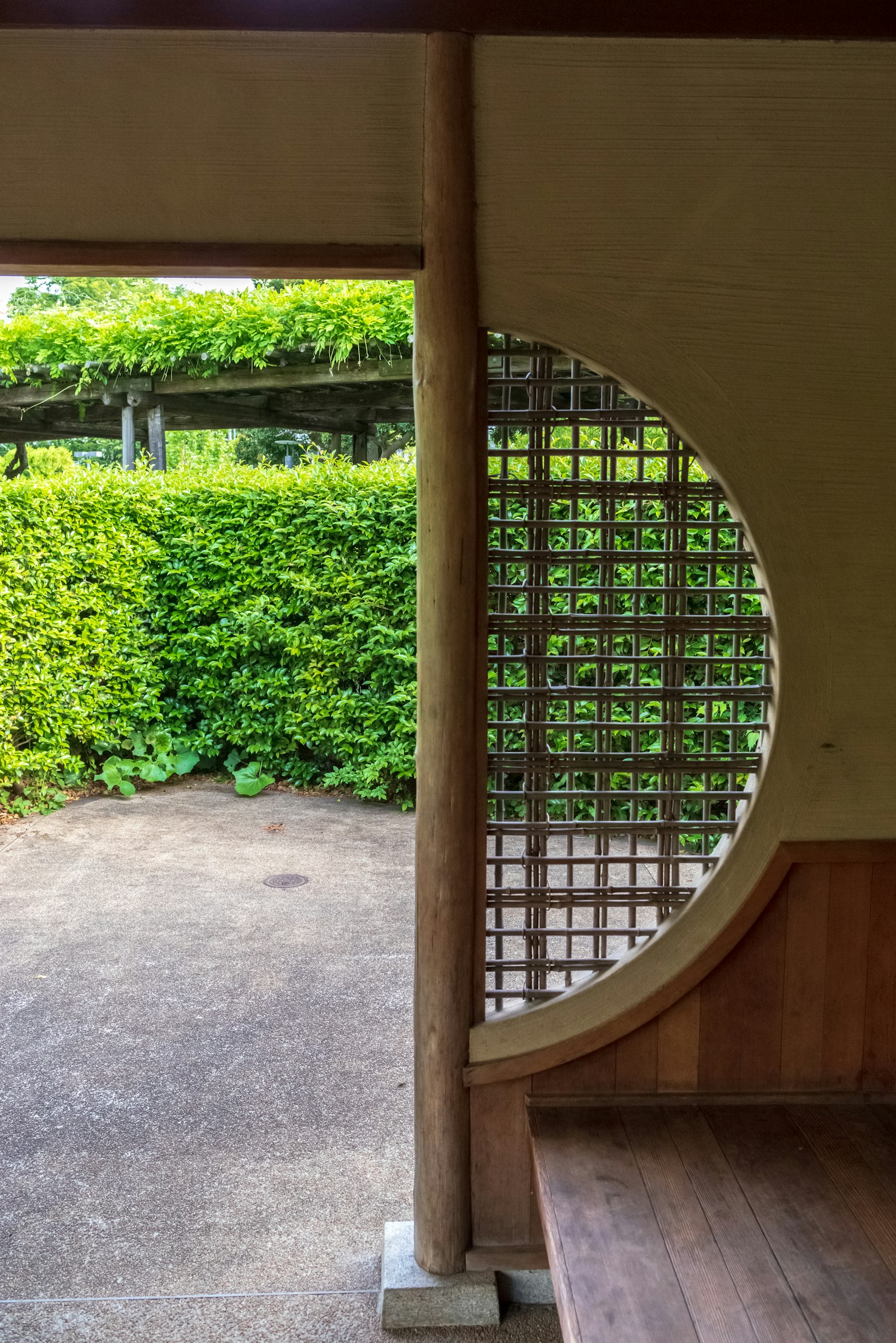 Runder Fensterblick auf einen üppigen Garten und eine Holzstruktur