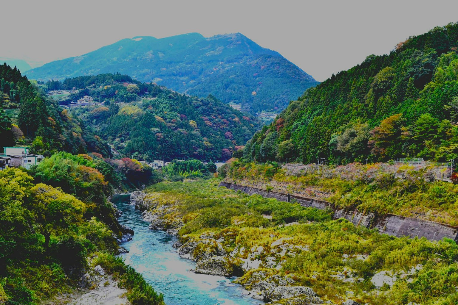 河流和山脉的风景 绿树成荫和清澈的水