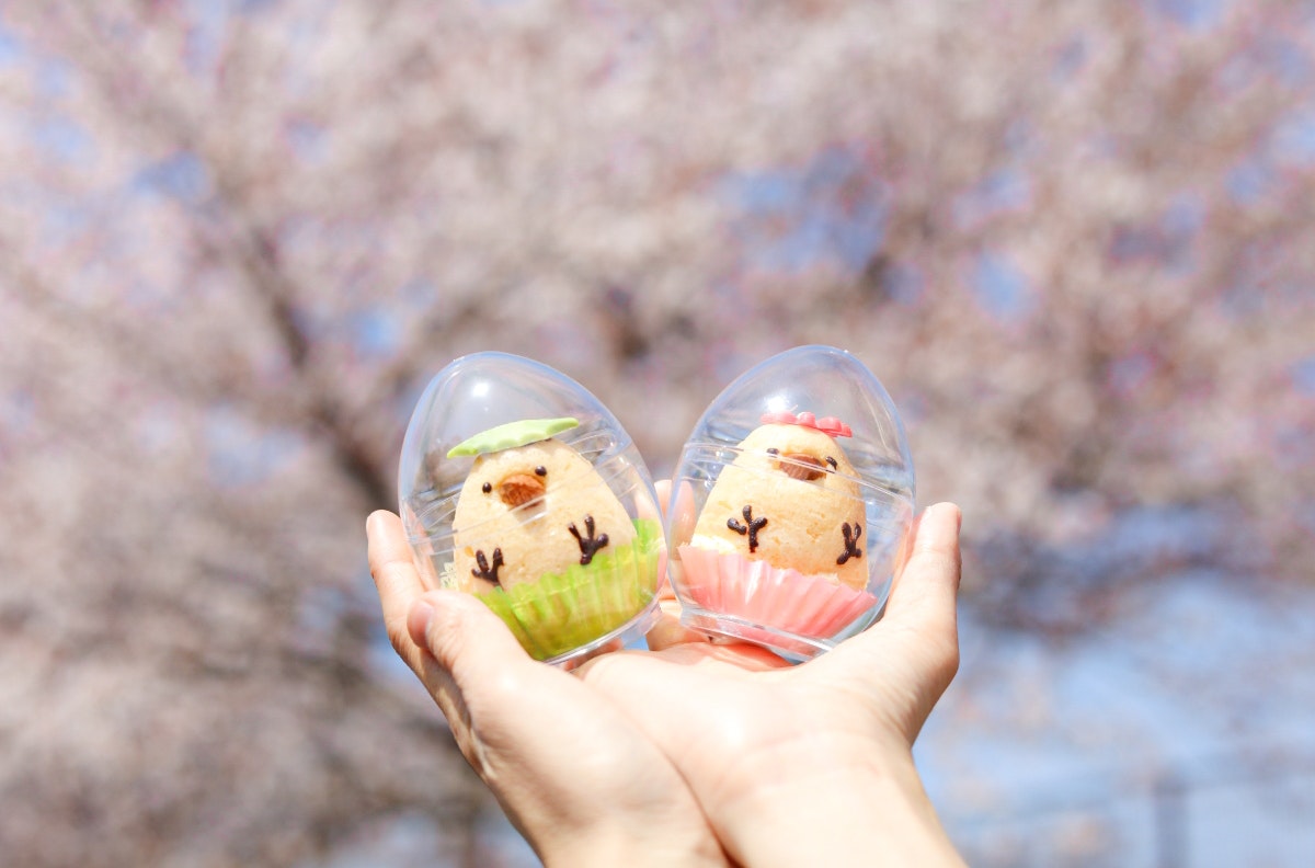 手のひらに桜の花びら入りのガラス風船を抱える春の景色
