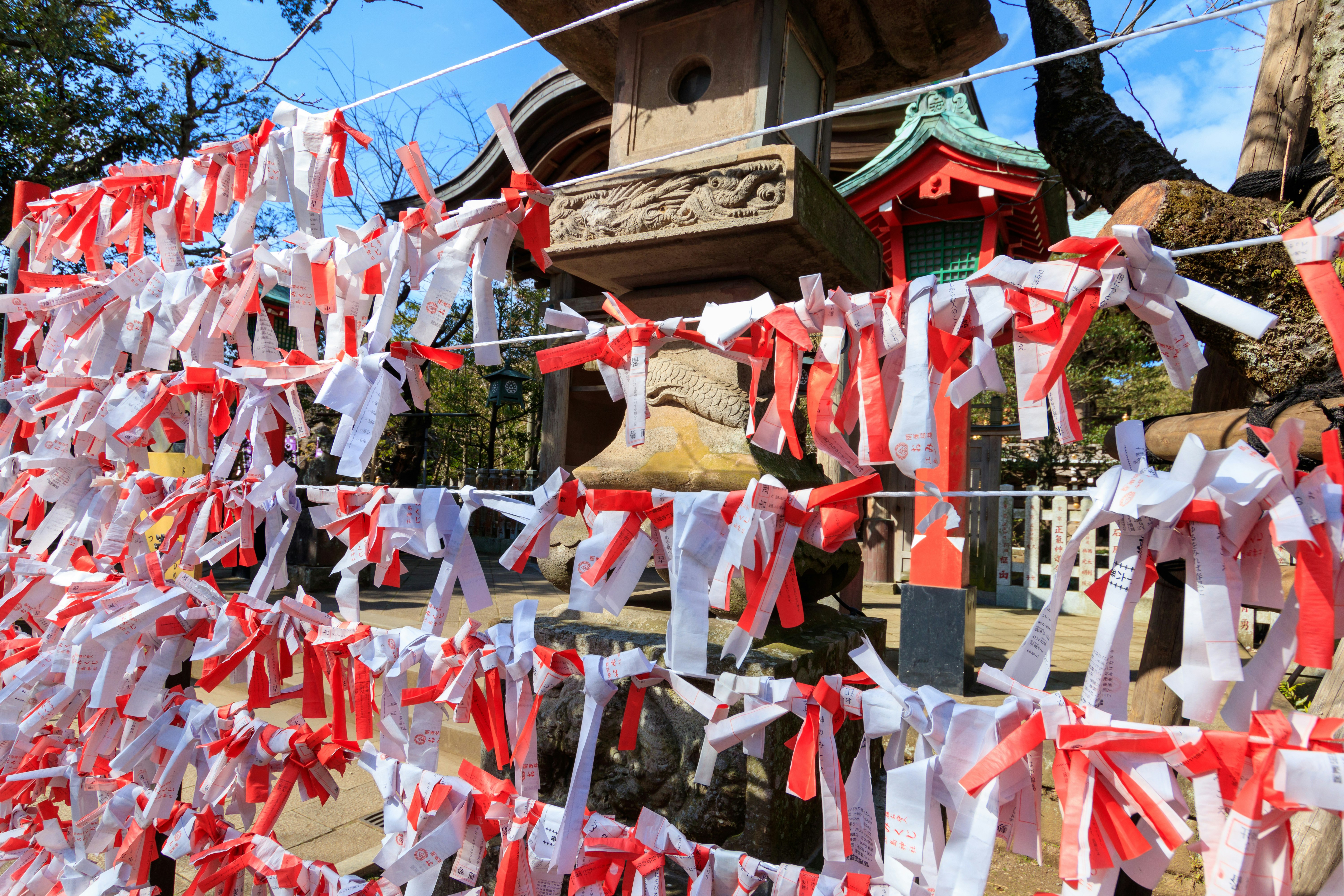 A scene at a shrine with red and white omikuji ribbons tied for wishes