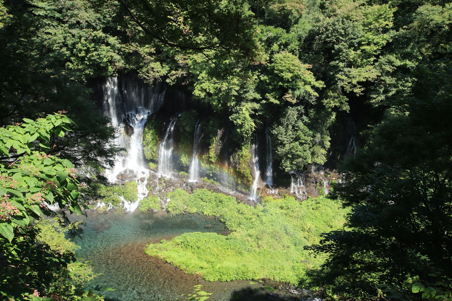 Malersicher Blick auf einen Wasserfall umgeben von üppigem Grün