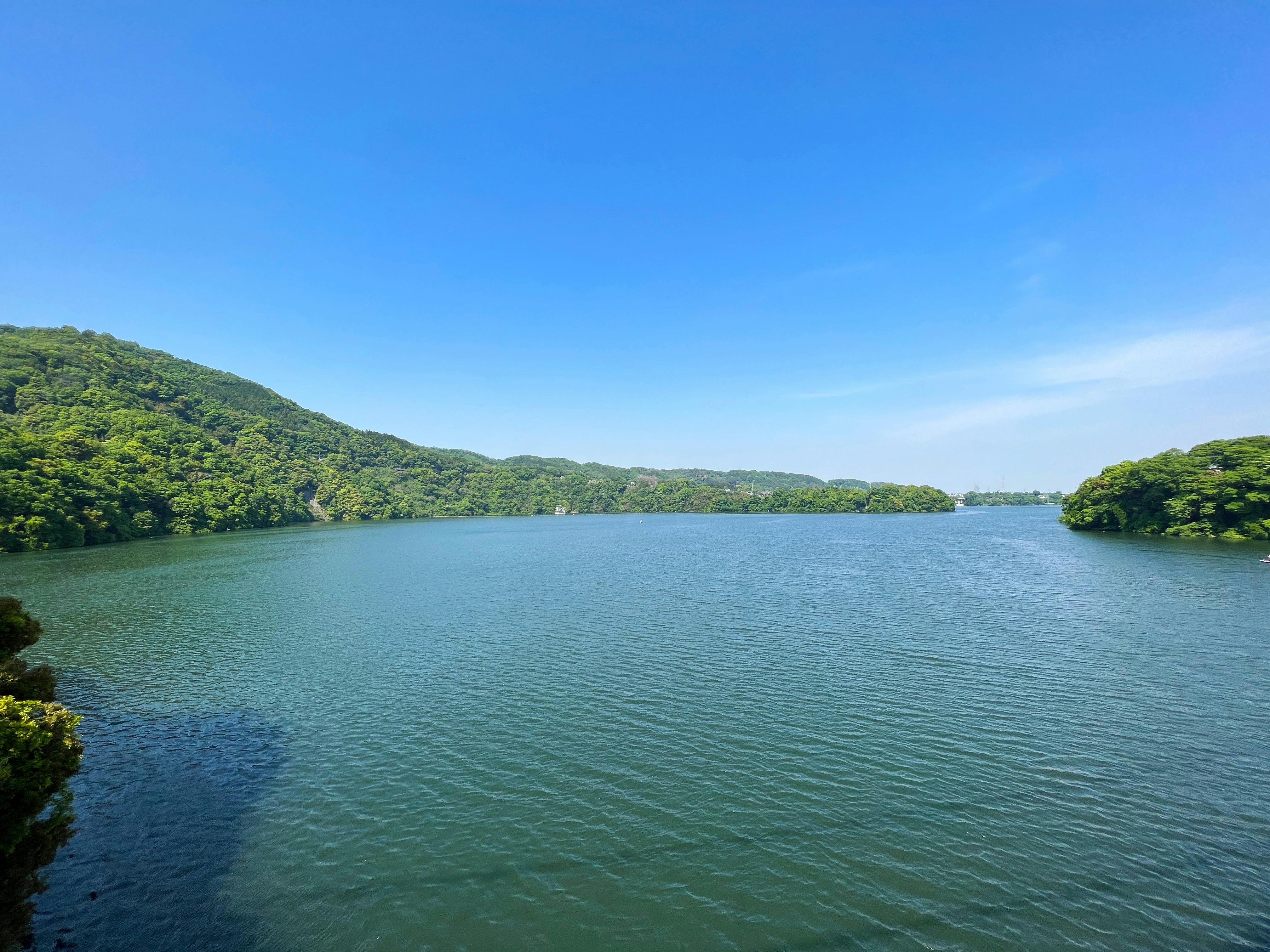 緑の丘に囲まれた湖の静かな水面