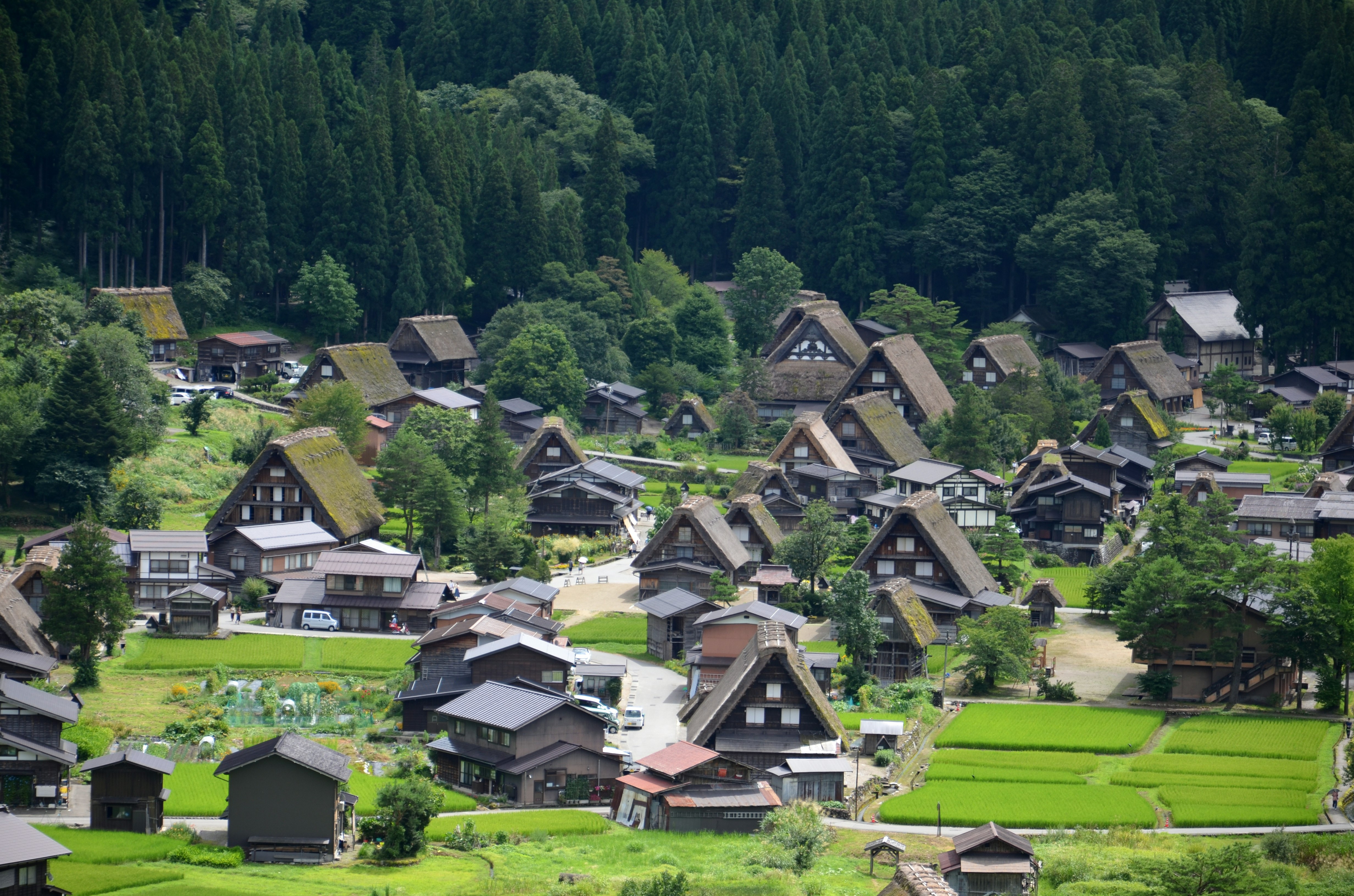 緑の棚田と山あいに広がる合掌造りの集落