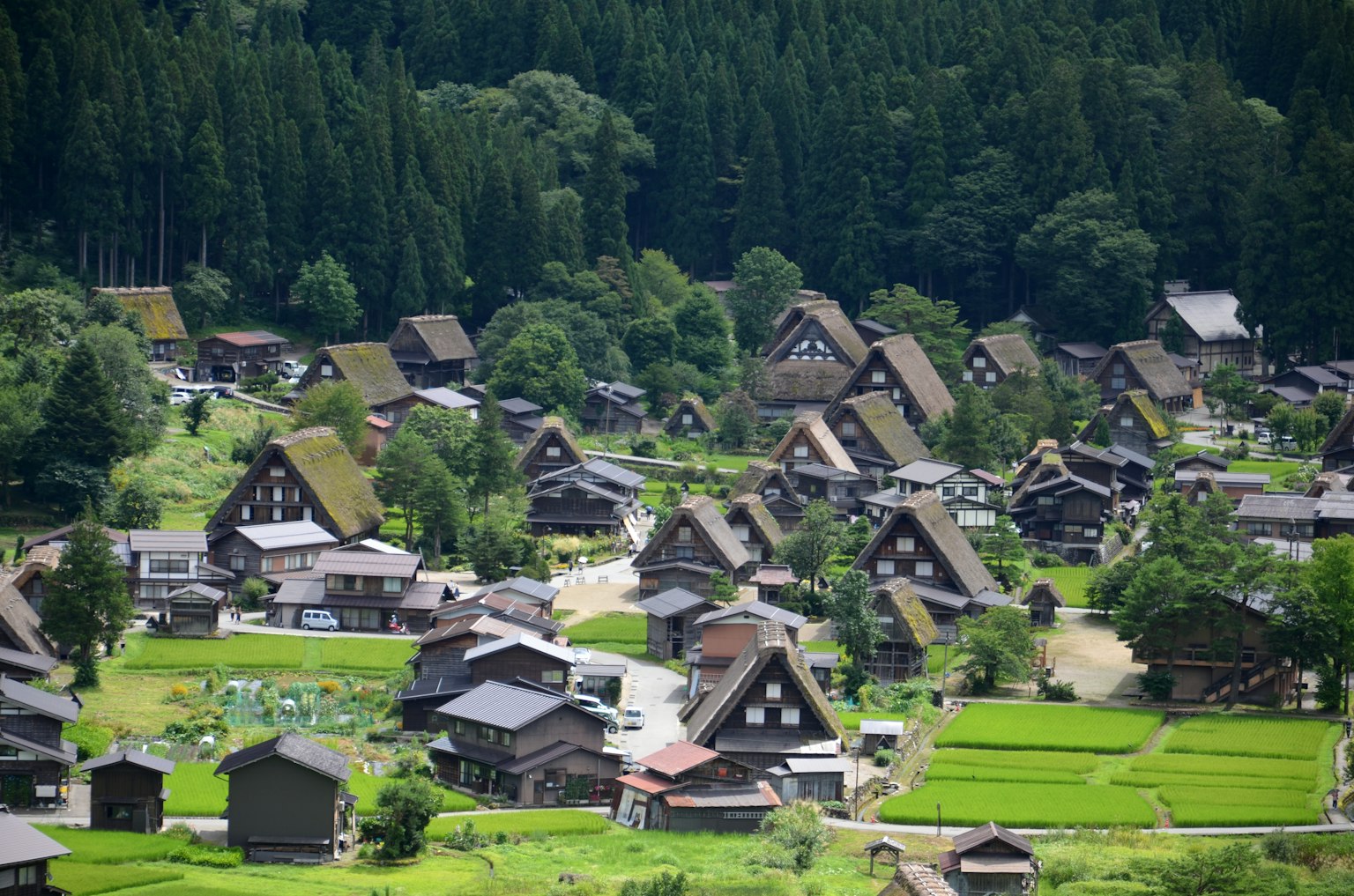 風景如畫的山村中的傳統合掌造房屋