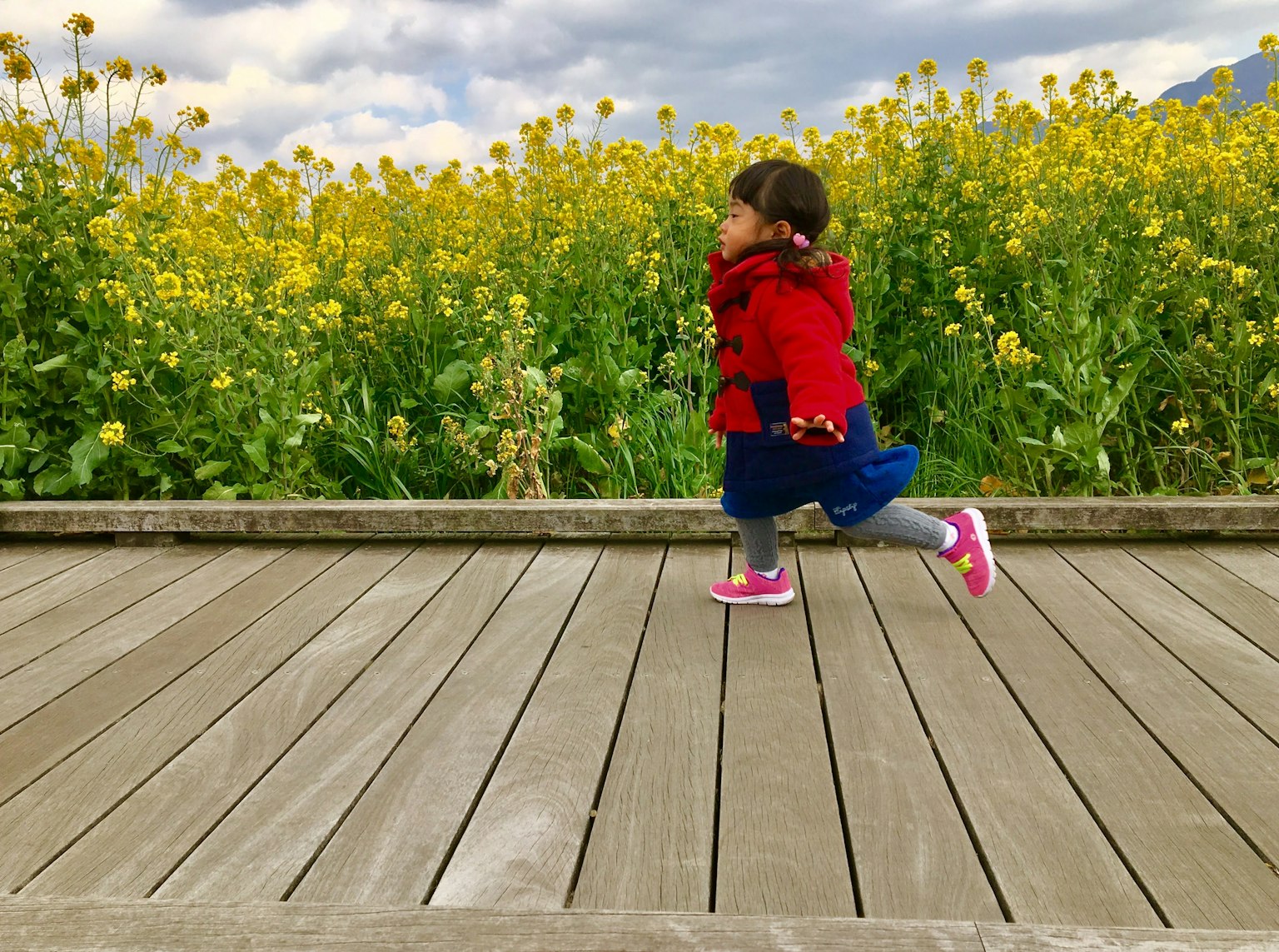 Una giovane ragazza in un cappotto rosso che corre su un sentiero di legno circondato da fiori gialli