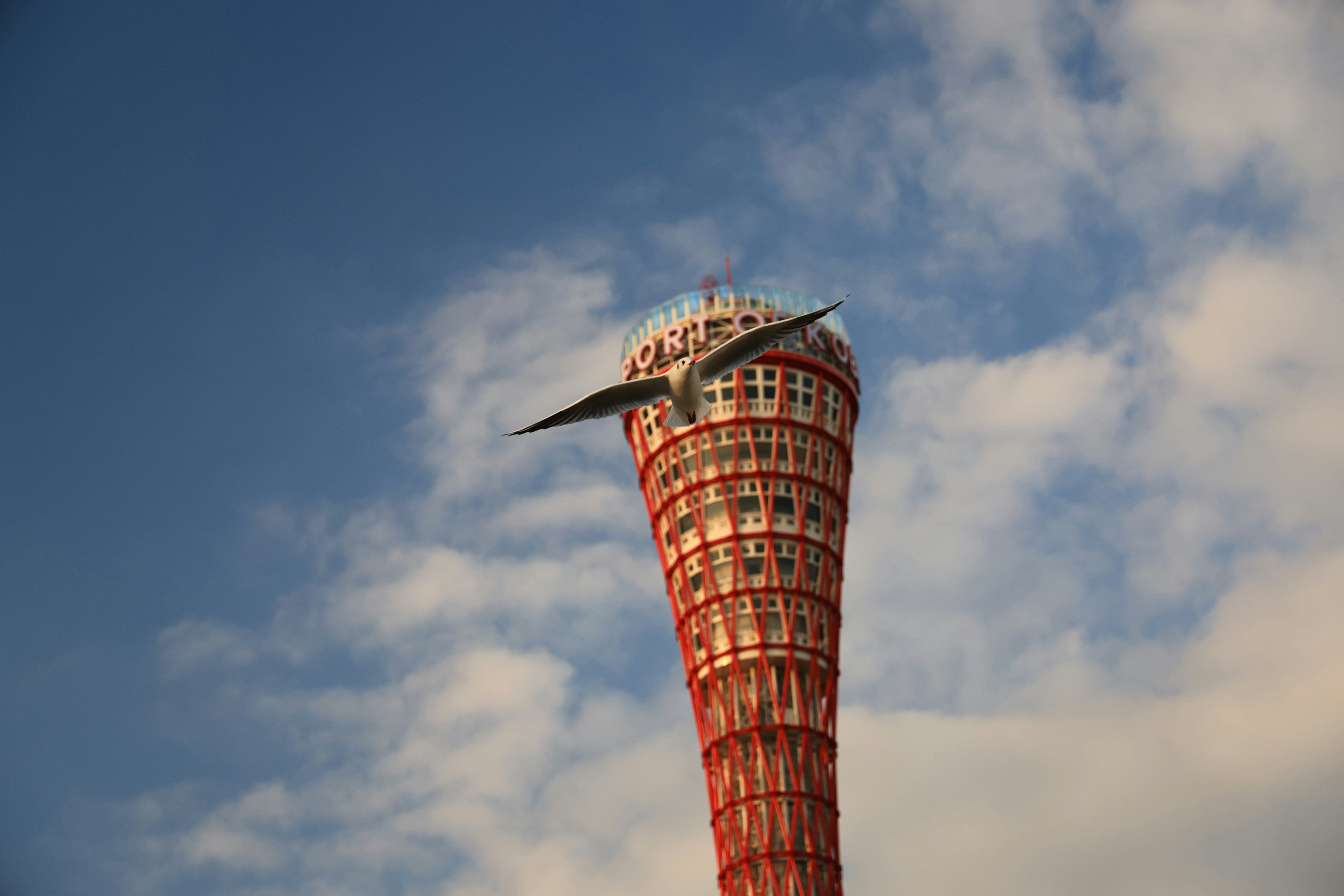 青空にそびえる赤い展望塔の上部