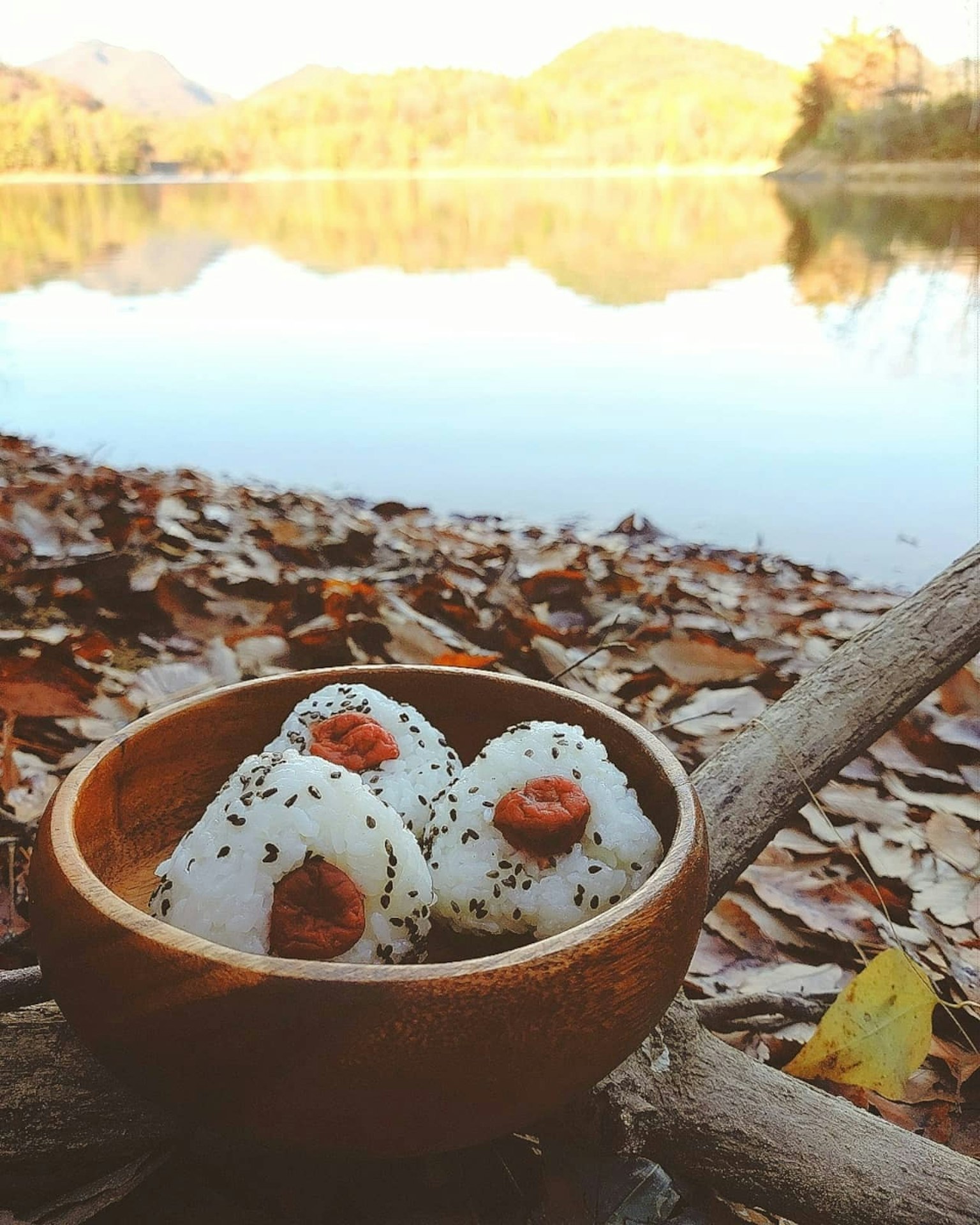 Reisbällchen am Ufer des Sees mit Herbstblättern