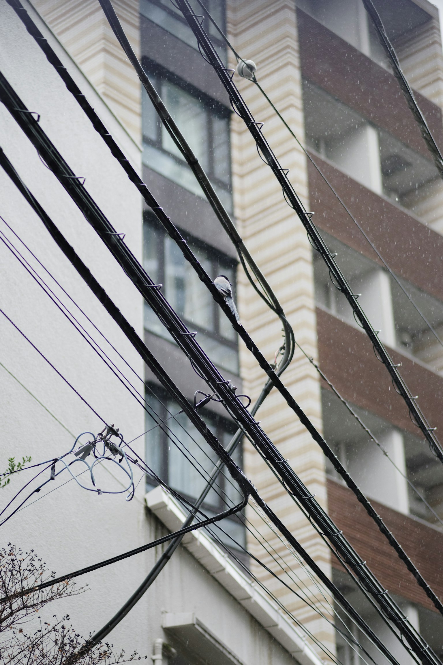 Scena urbana con linee elettriche incrociate e un edificio sotto la pioggia
