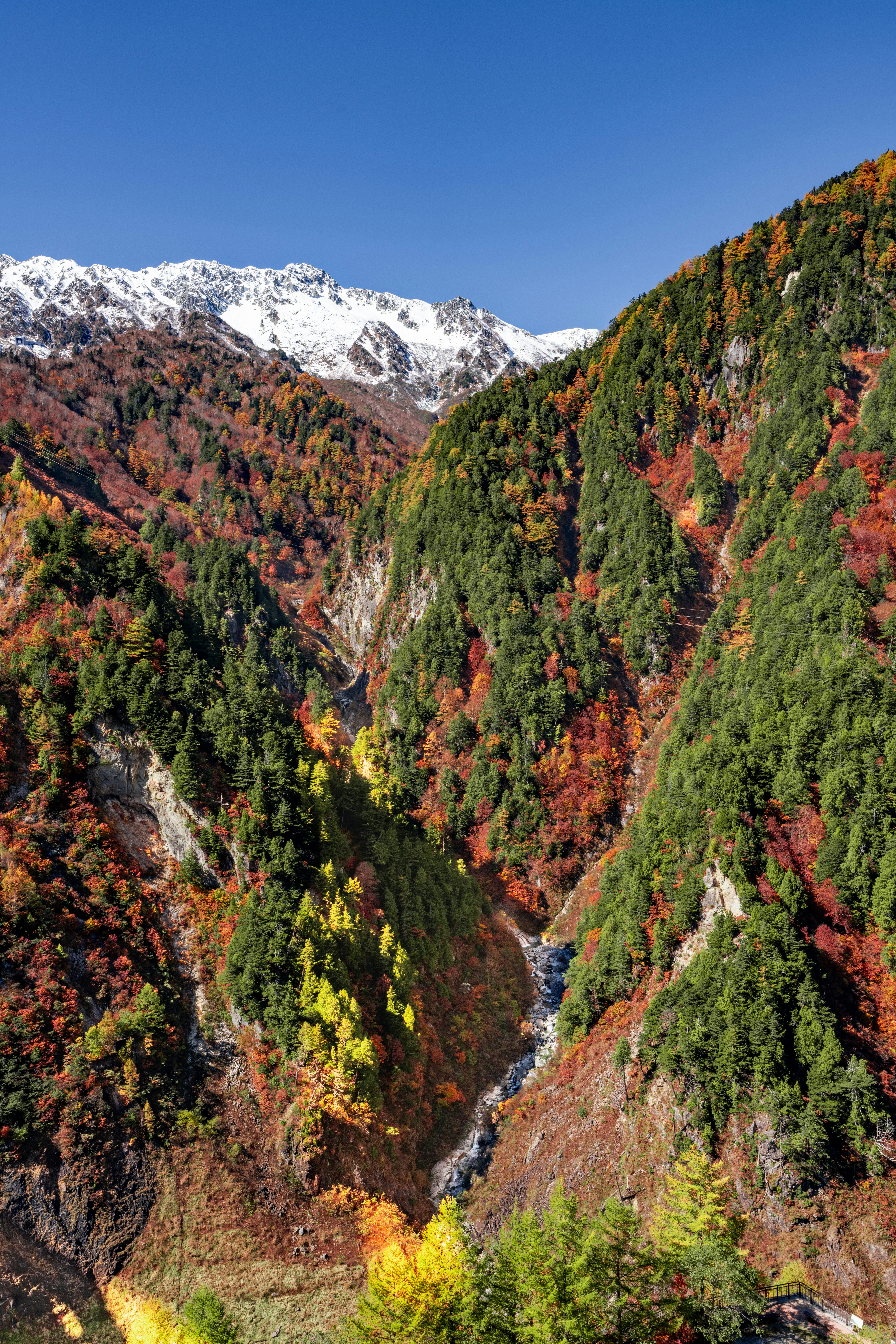 Scenic view of a valley with colorful autumn foliage and snow-capped mountains