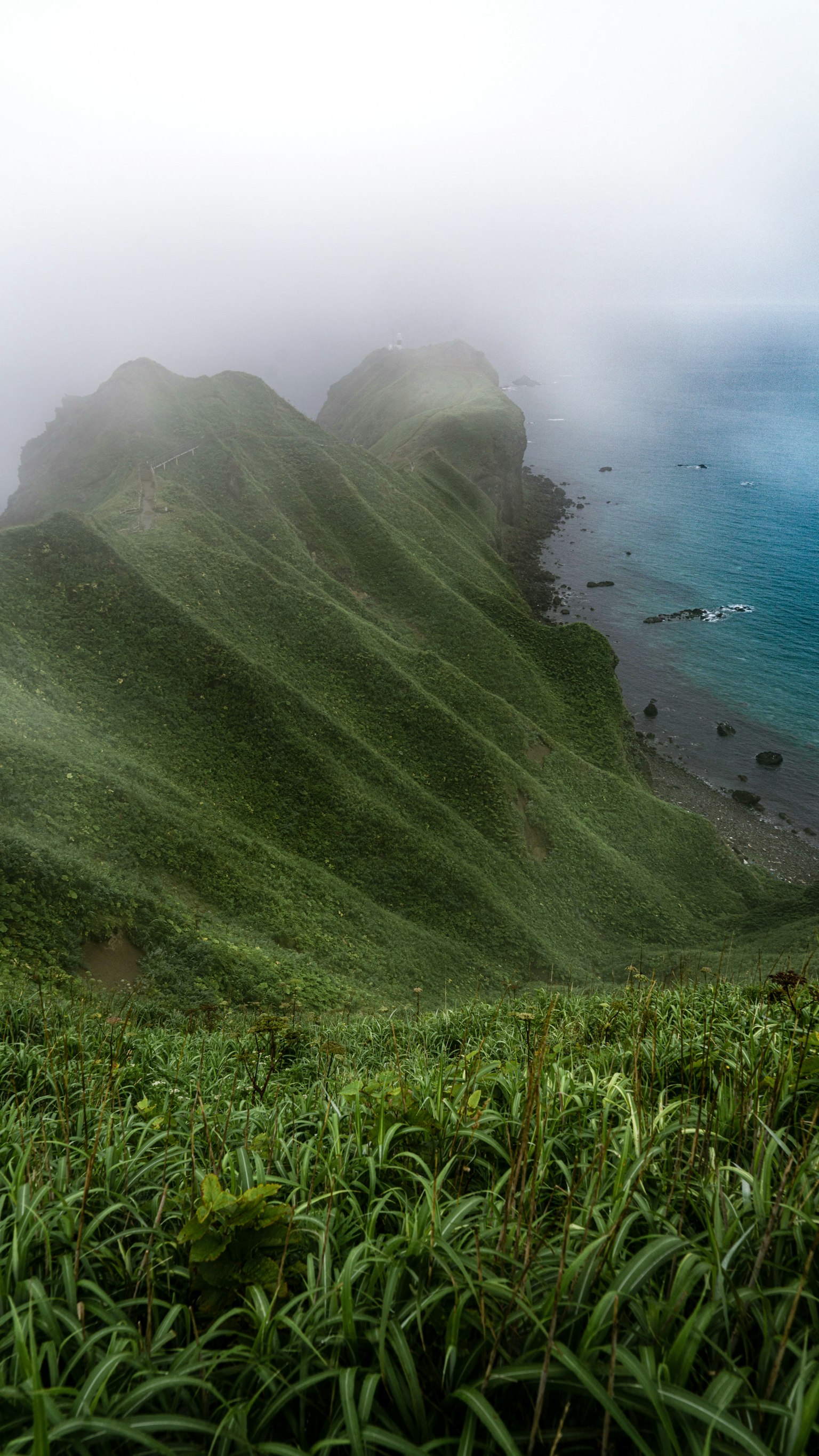Misty green hills overlooking a blue ocean